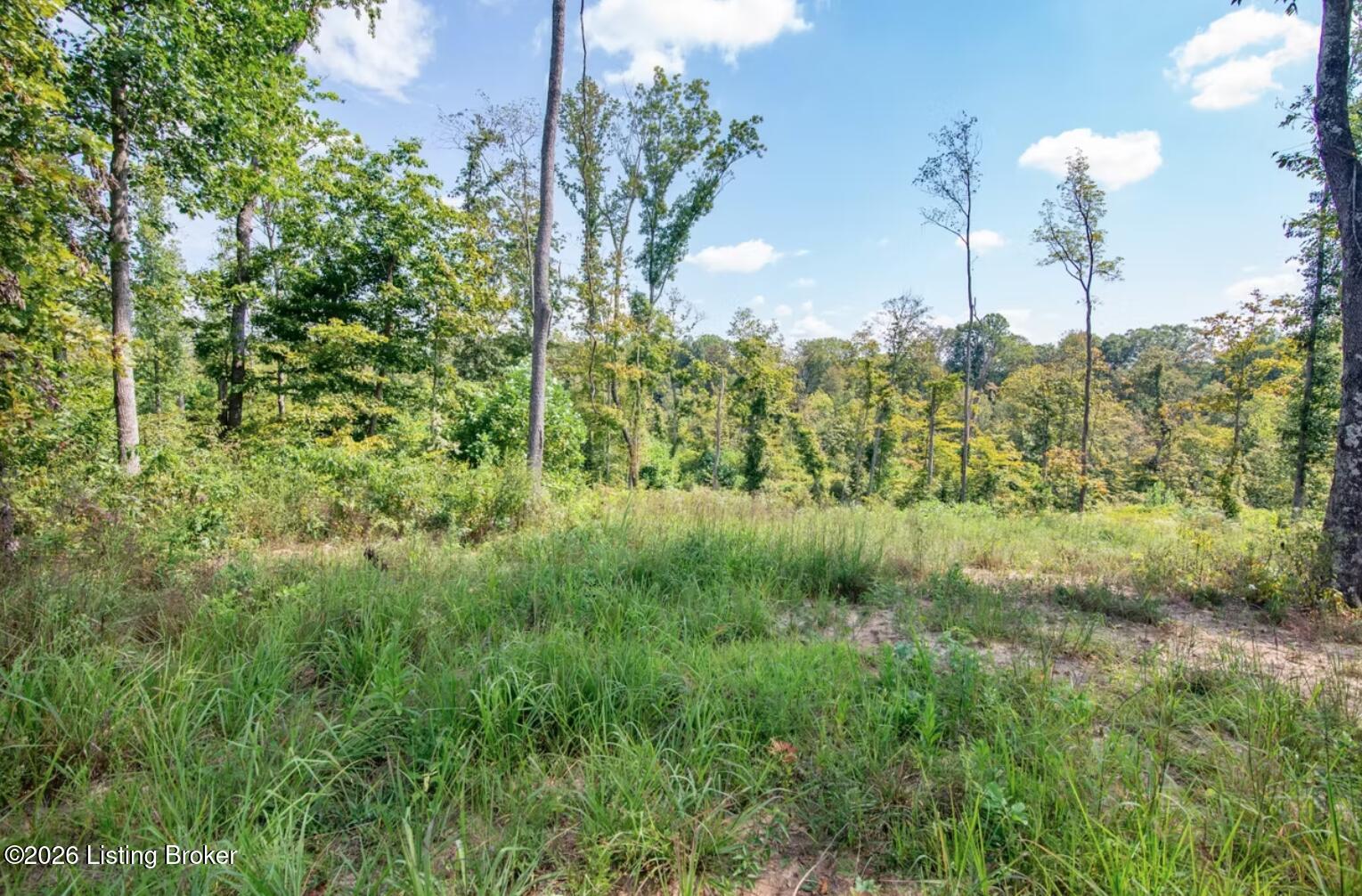 0 Scott-marcum Rd Property Photo 16