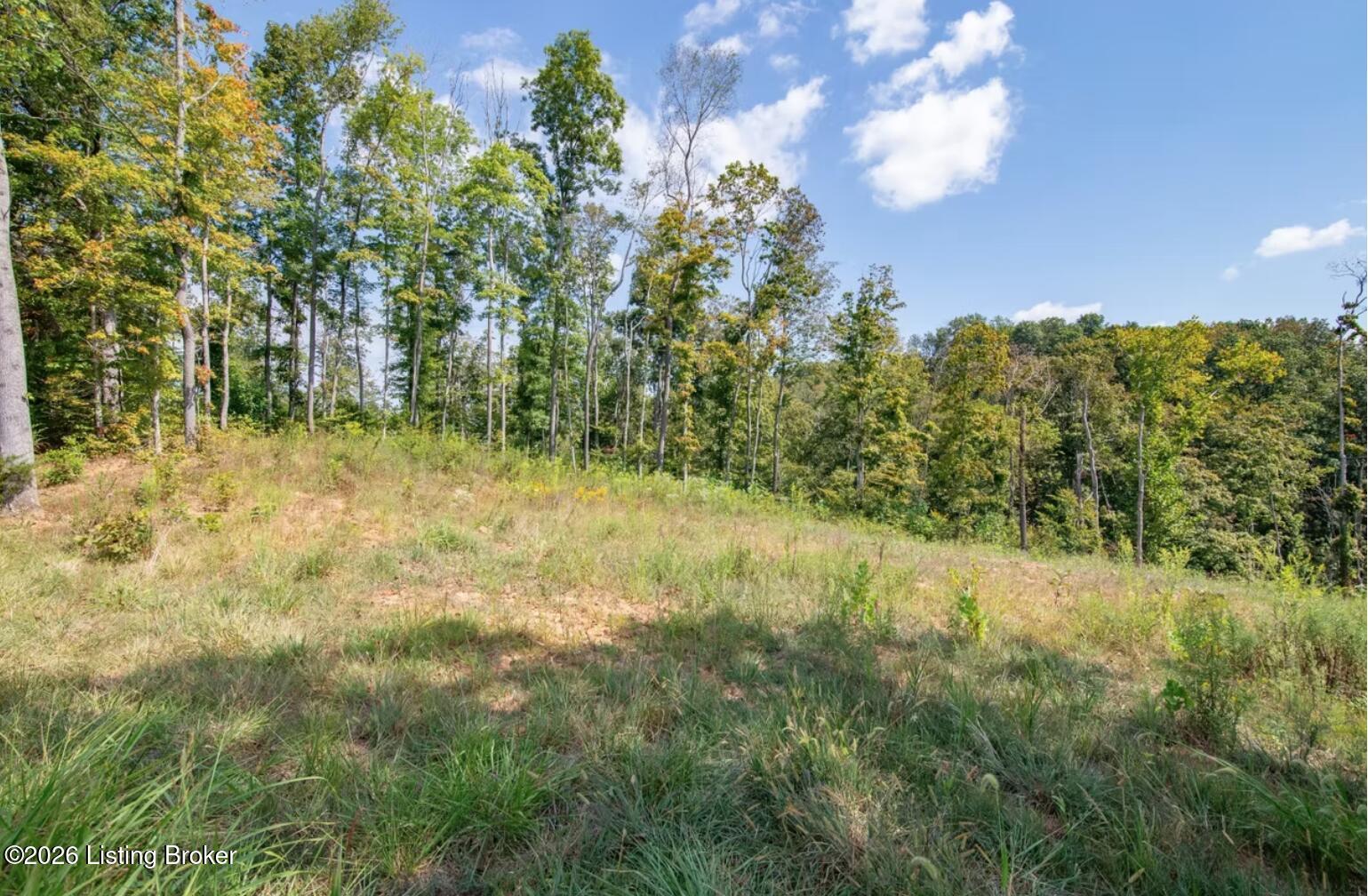 0 Scott-marcum Rd Property Photo 17