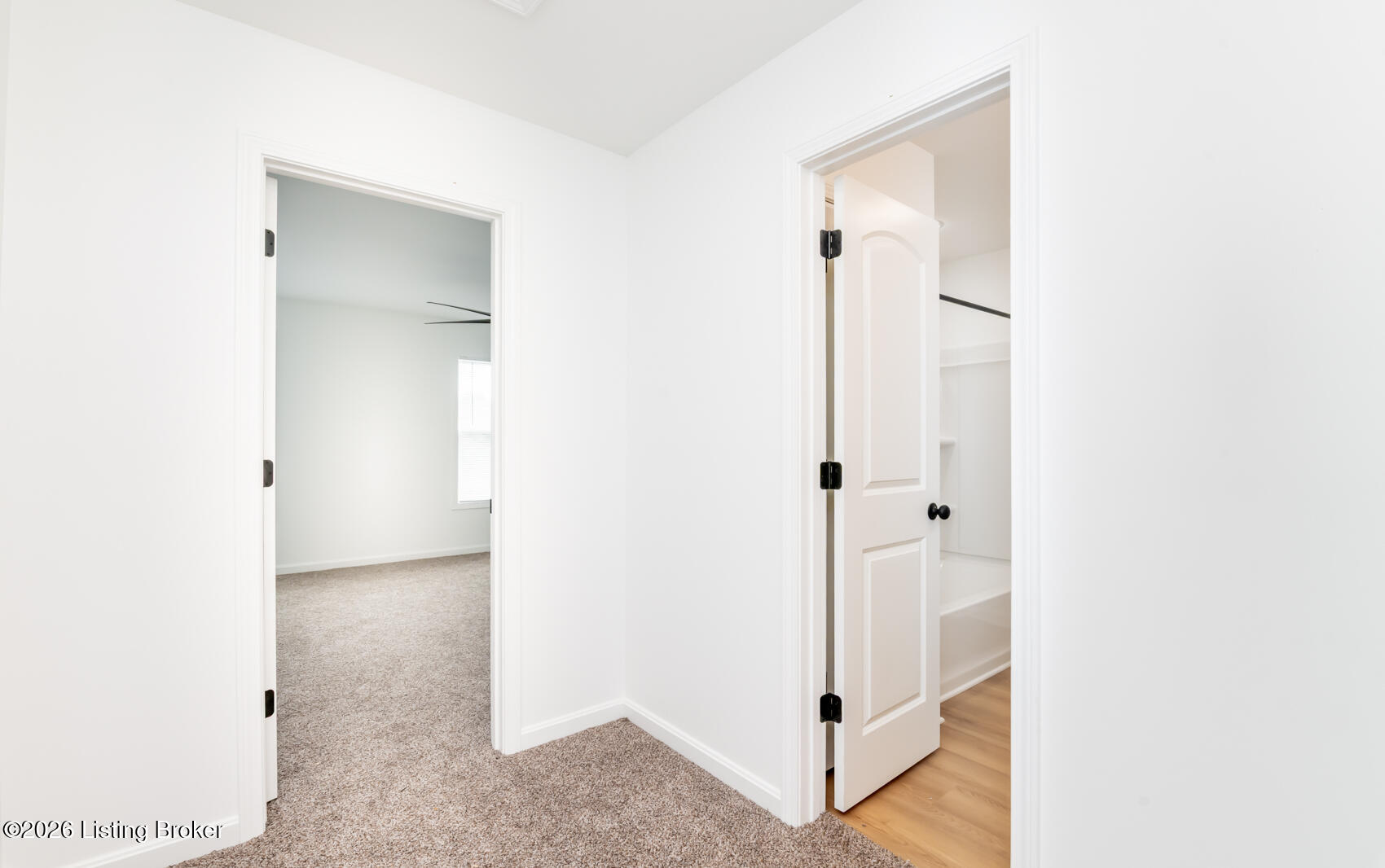 2226 Magazine St Property Photo 32