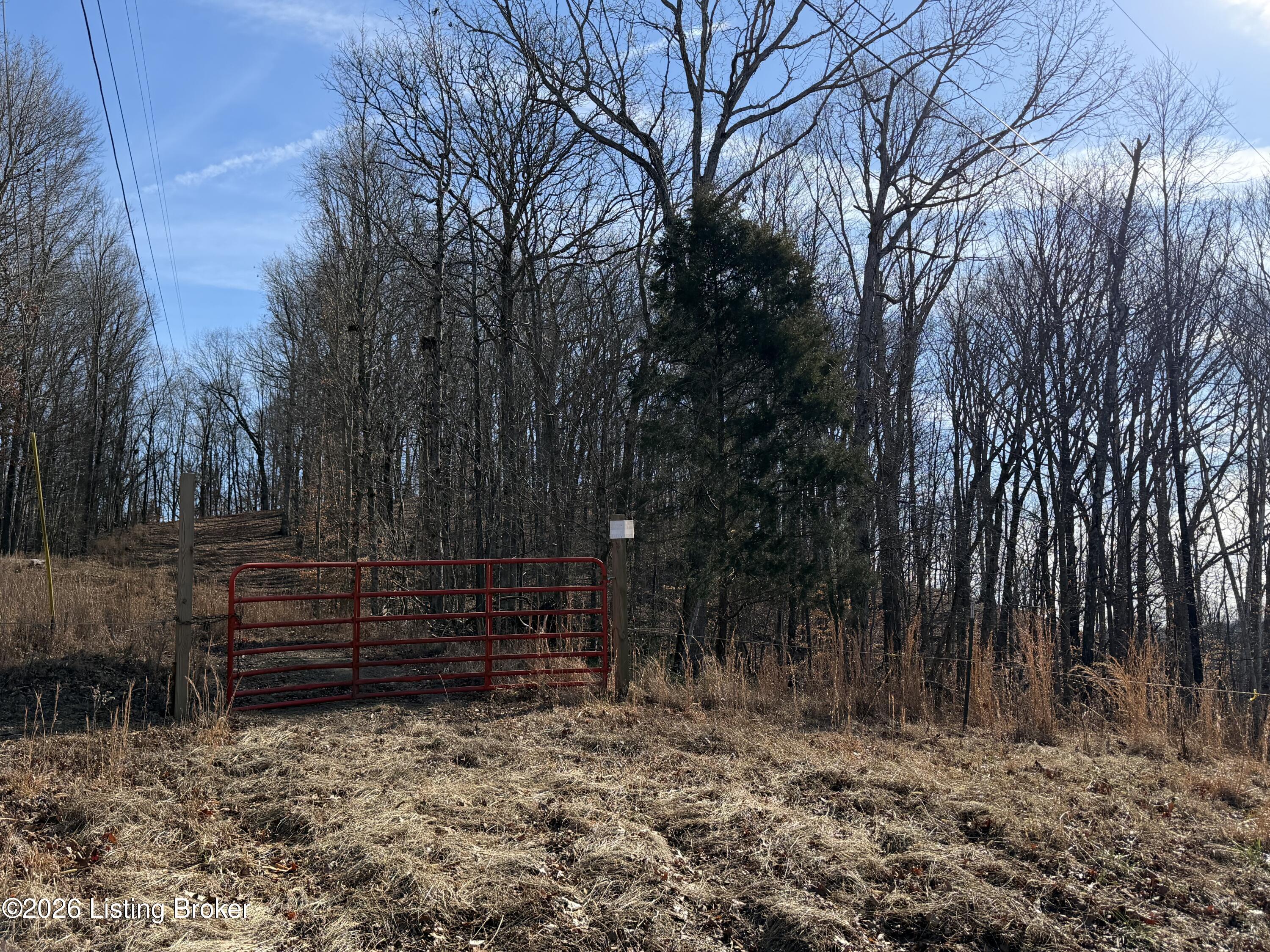 0 Sourwood Ln Property Photo 6