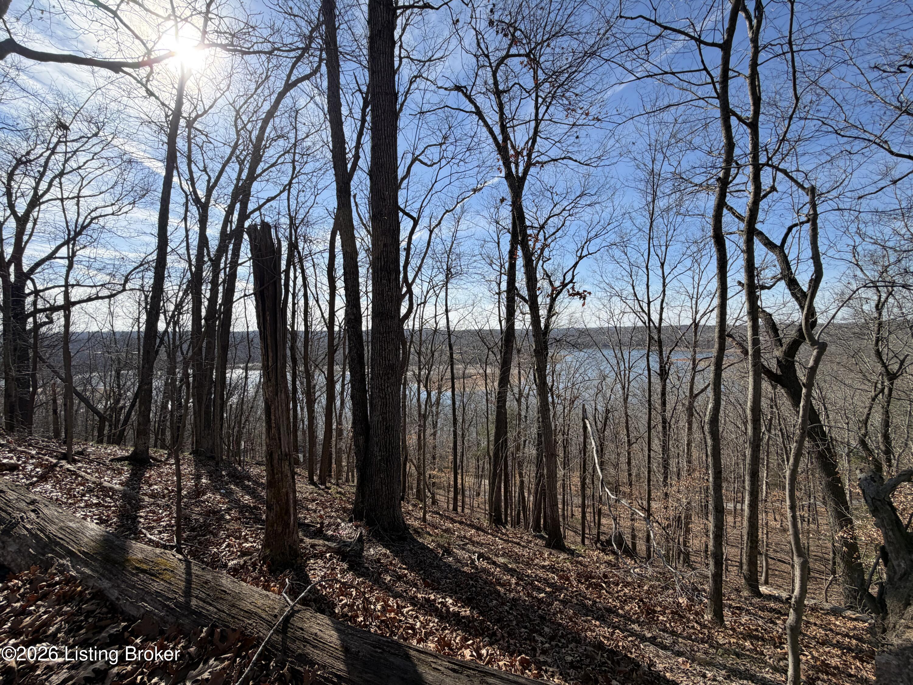 0 Sourwood Ln Property Photo 7