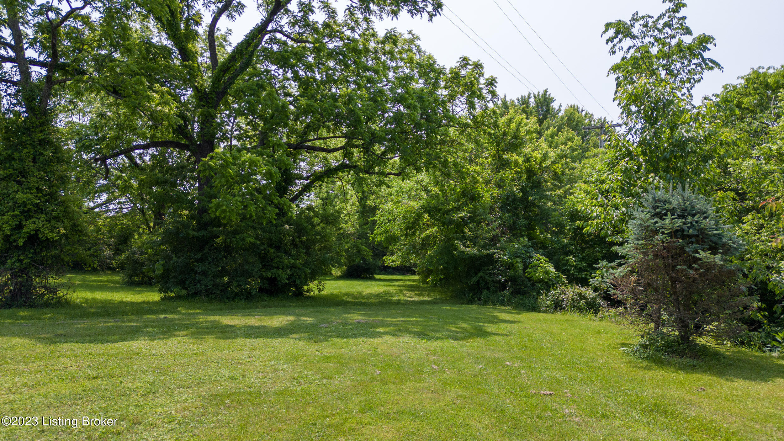 2993 E Blue Lick Rd Property Photo 13