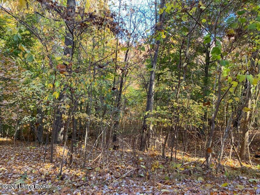 41-5 E Audubon Dr 41-5 Property Photo 2