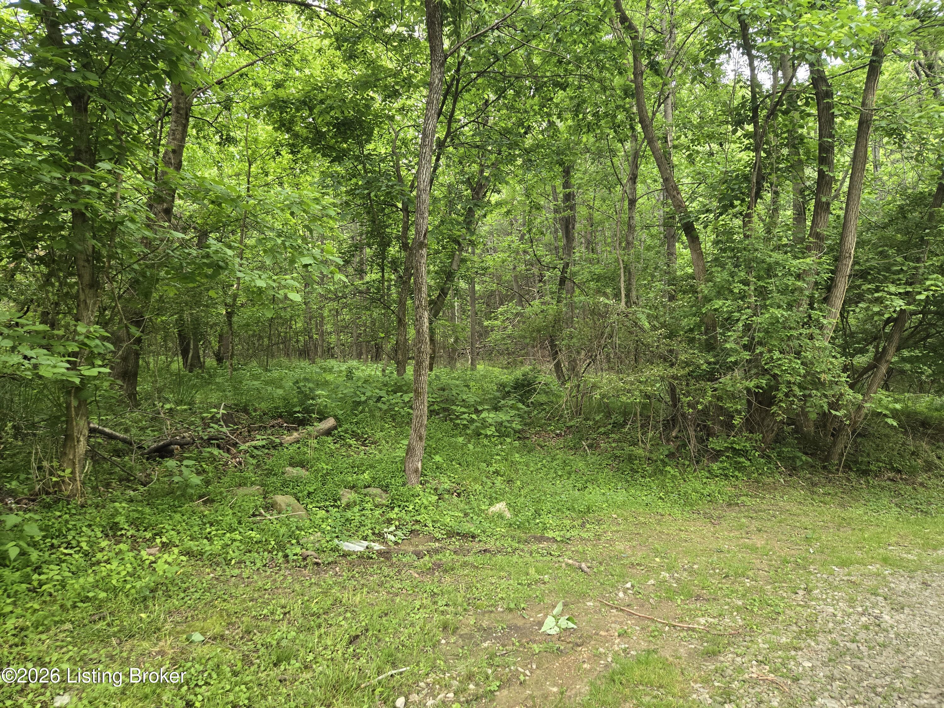 11708 Mitchell Hill Rd Property Photo 2