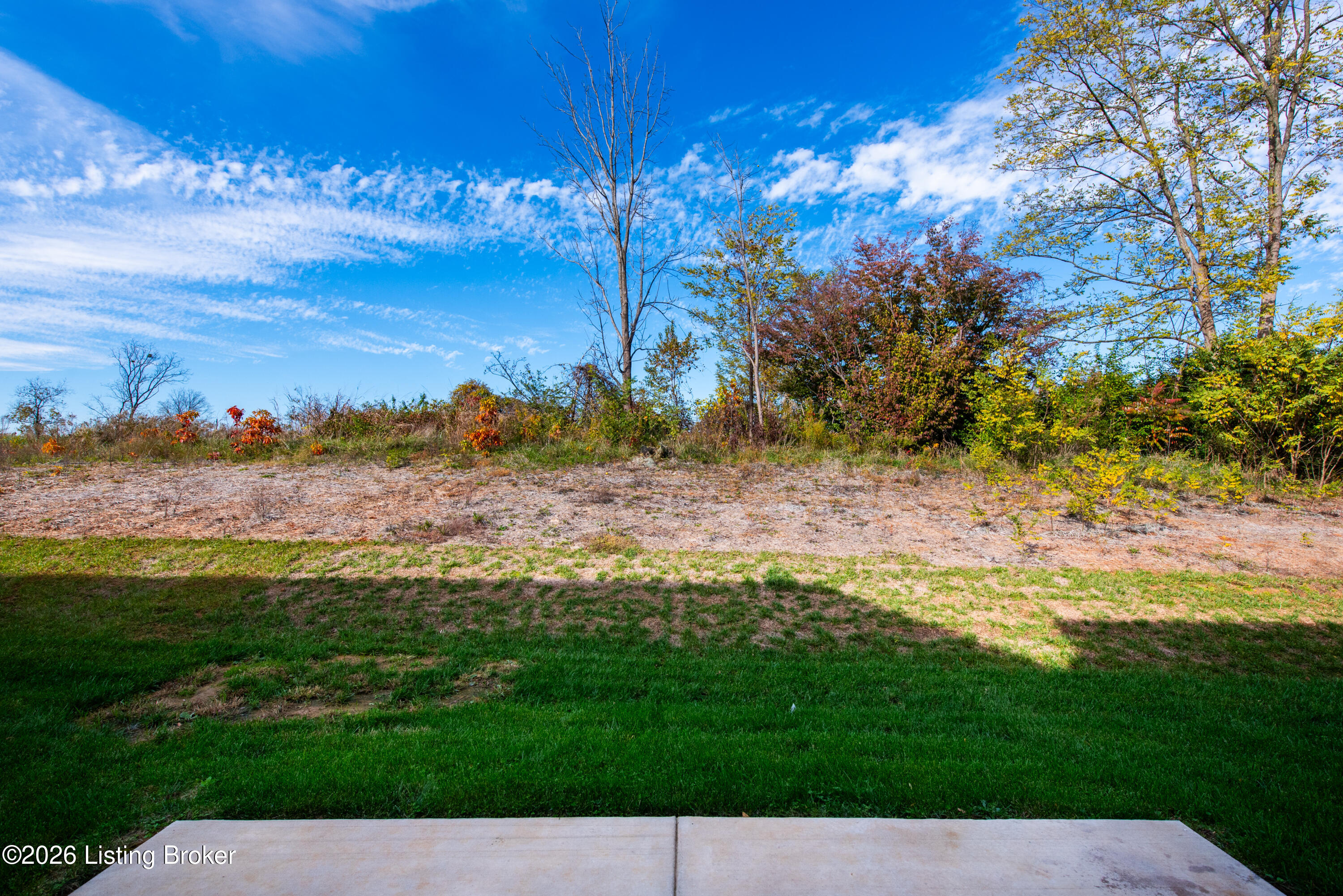 10029 Windcrest Farms Ln Property Photo 50