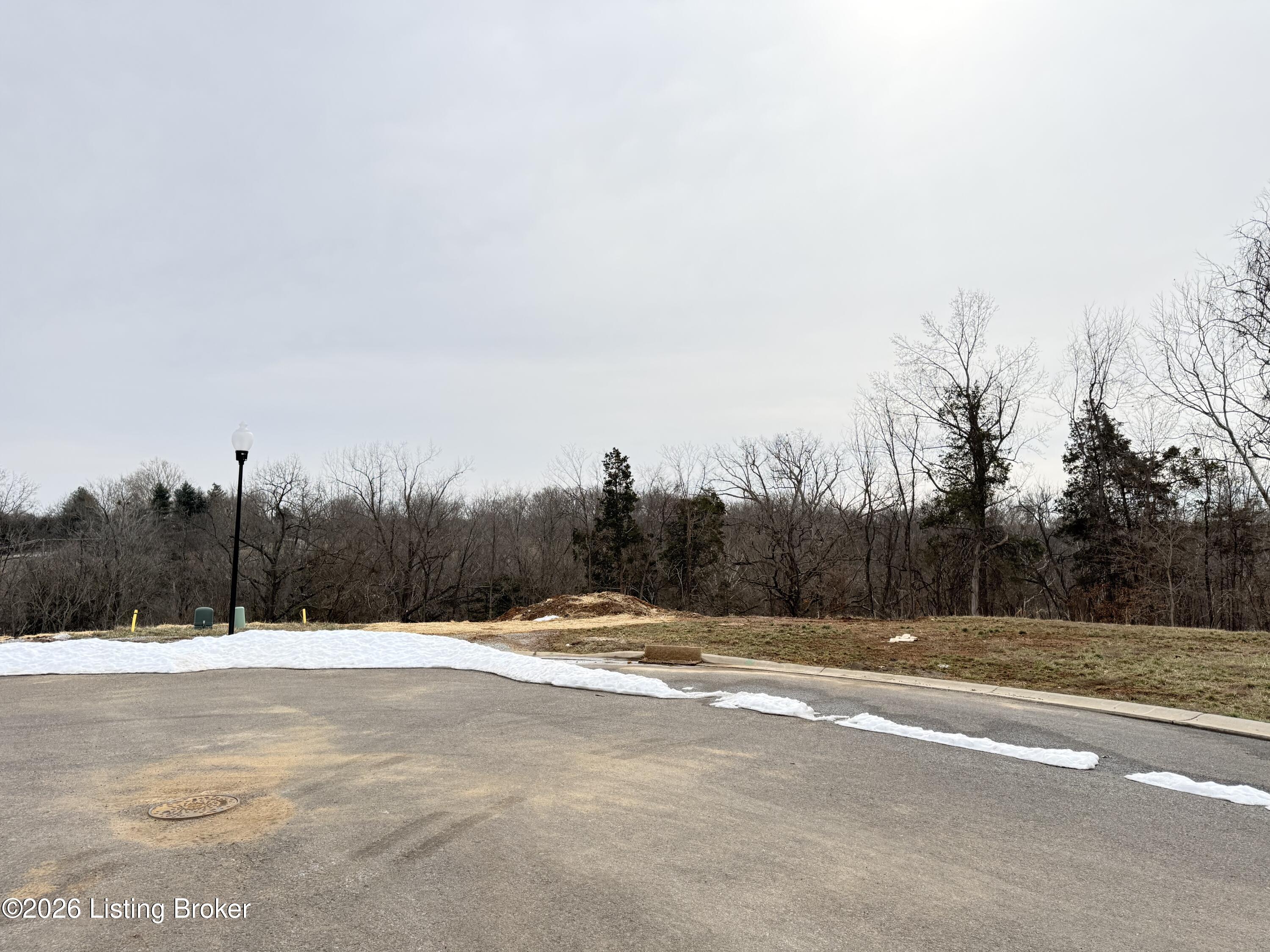 6410 Meadow Creek Ct Property Photo 1