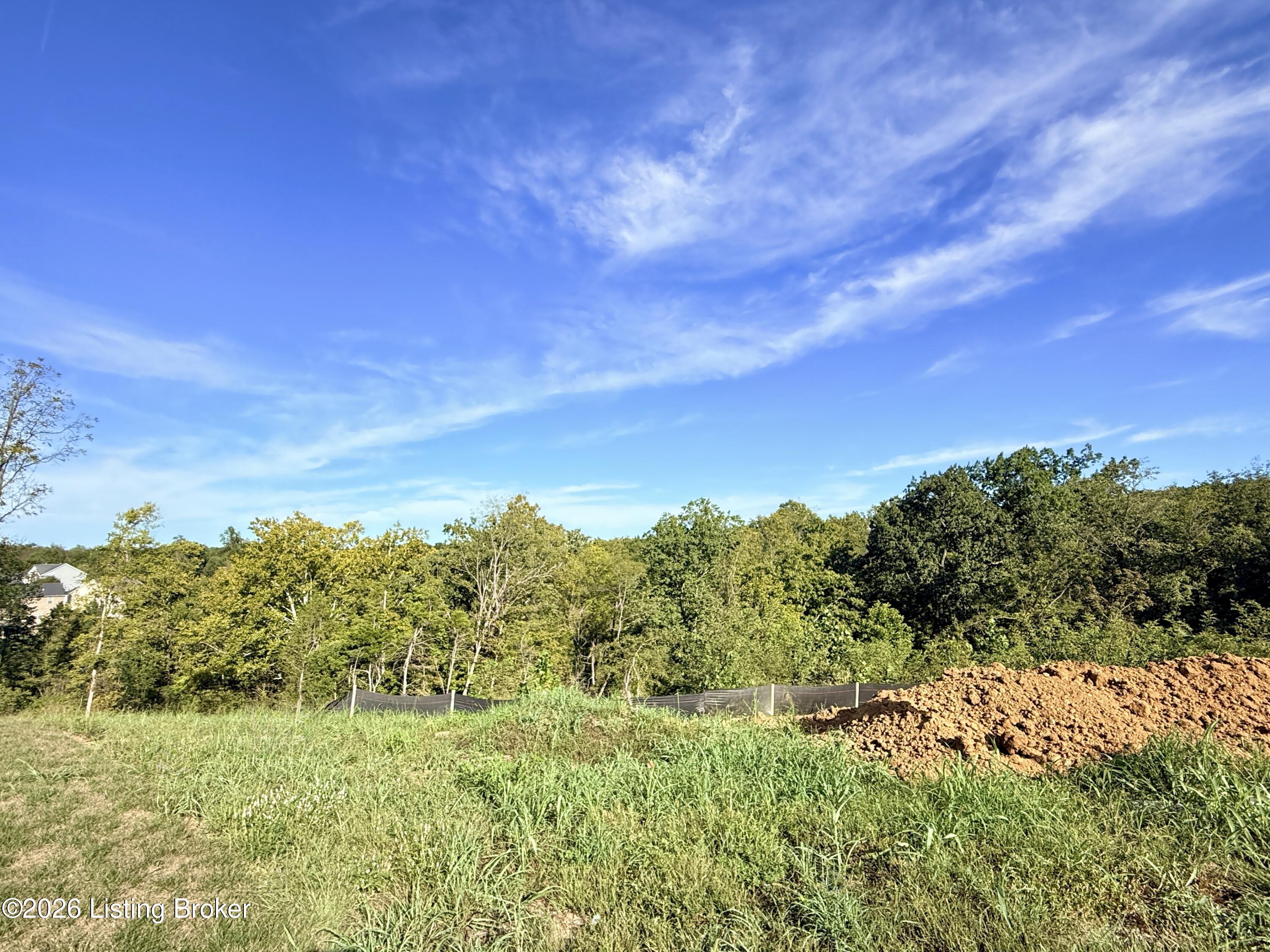 6411 Meadow Creek Ct Property Photo 1