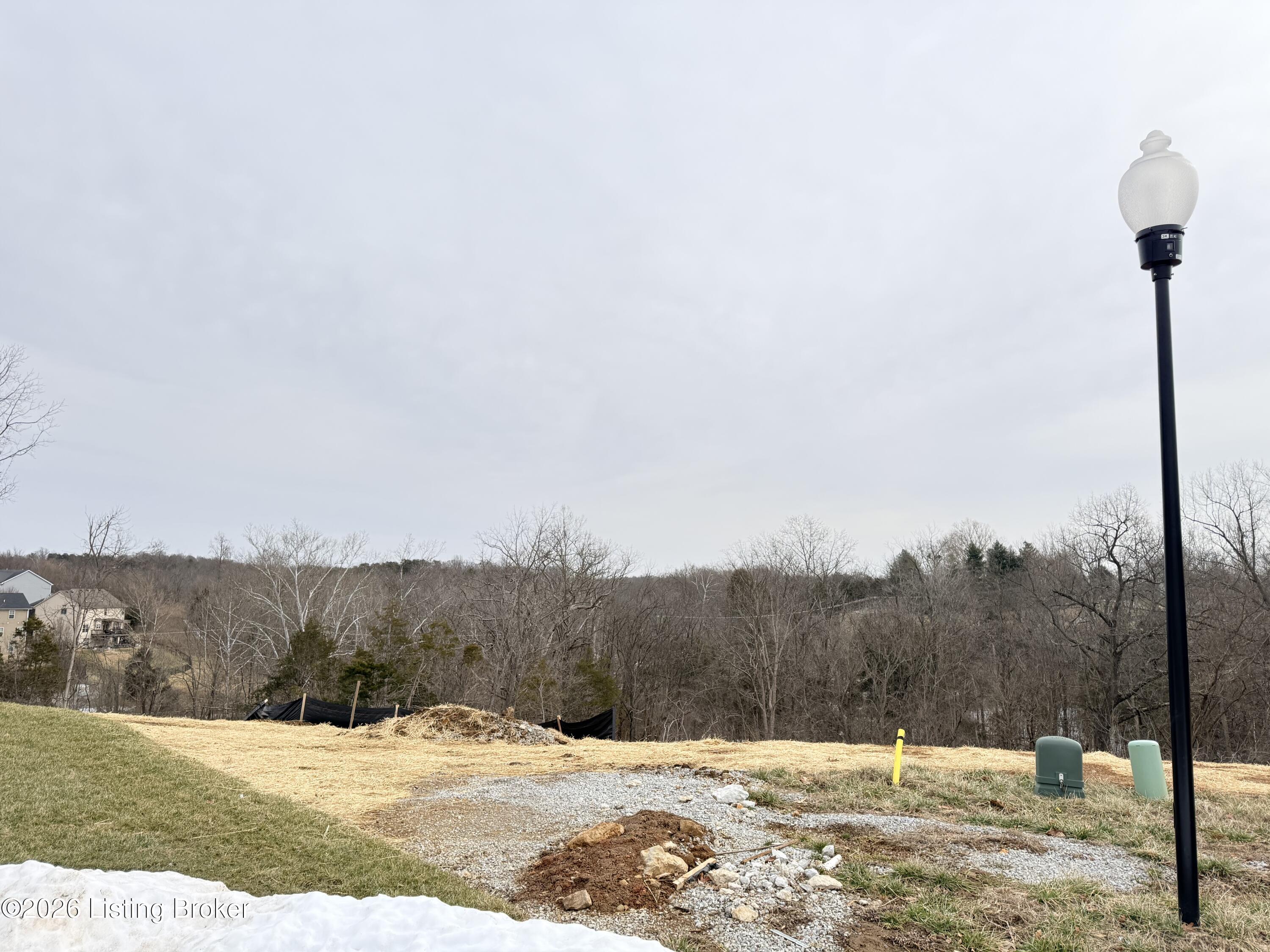 6411 Meadow Creek Ct Property Photo 4