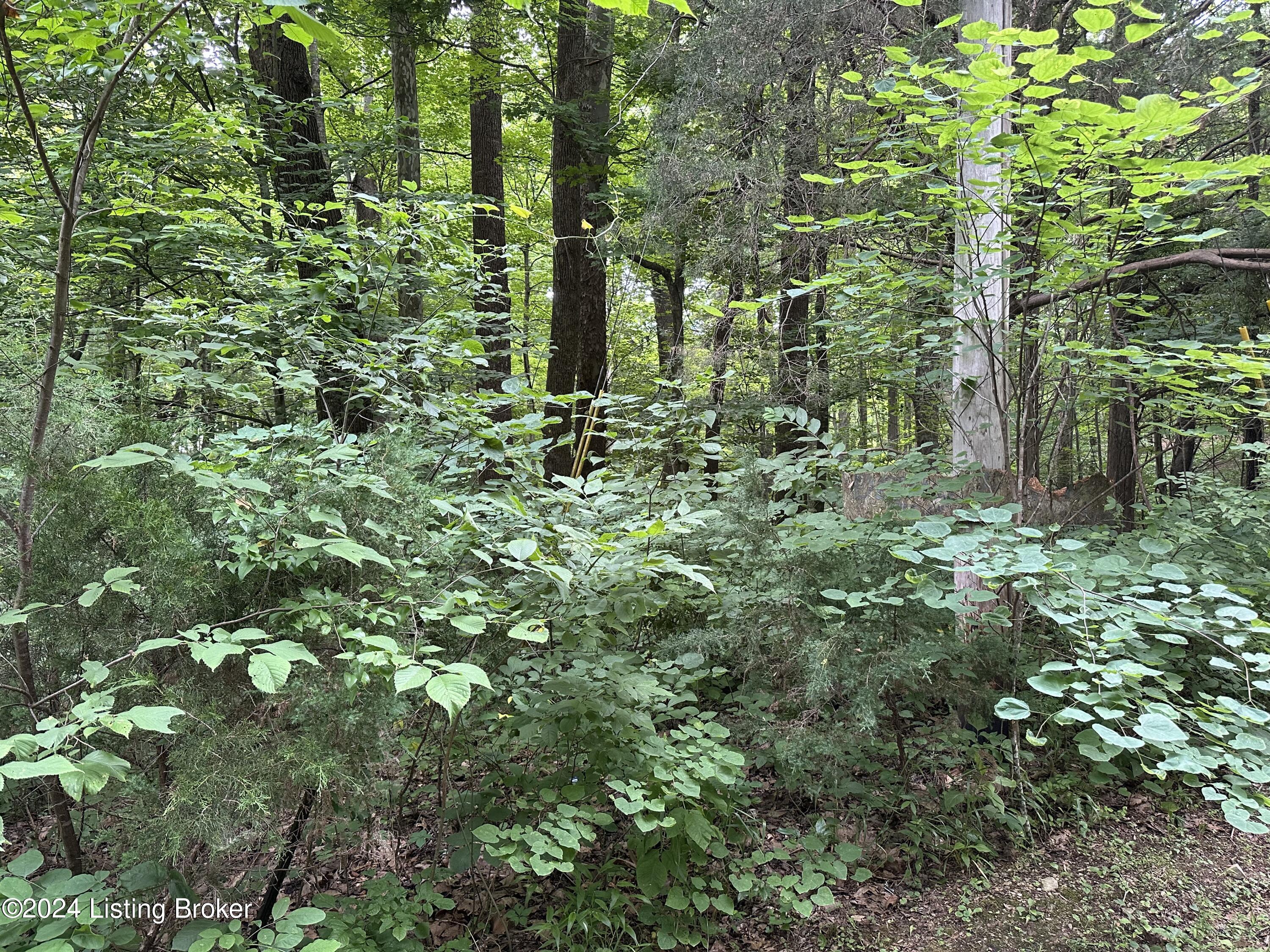 64 65,66 Winesap Dr Property Photo 1