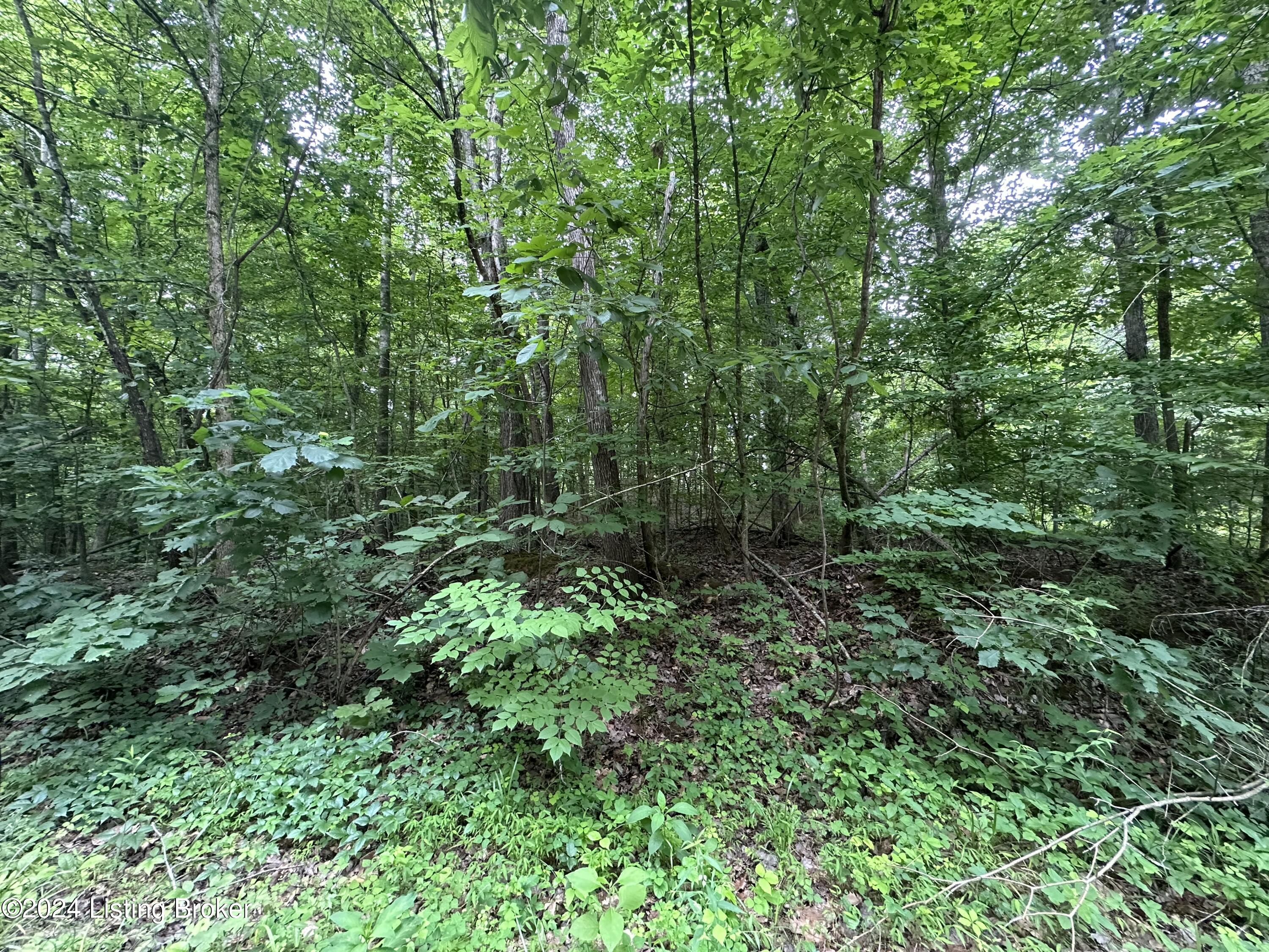 76,77 Winesap Dr Property Photo 1
