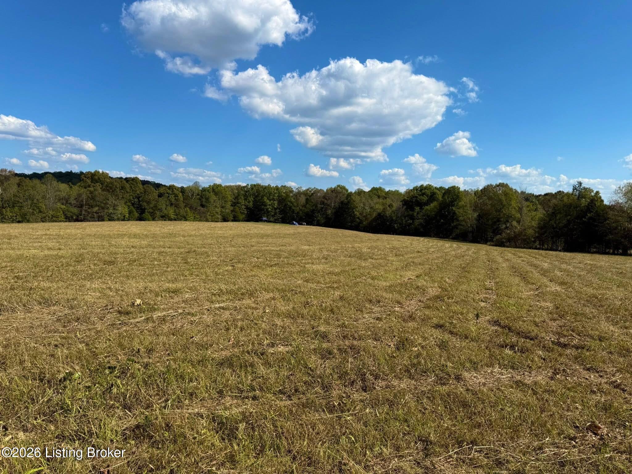 320 Woodland Ave Property Photo 1