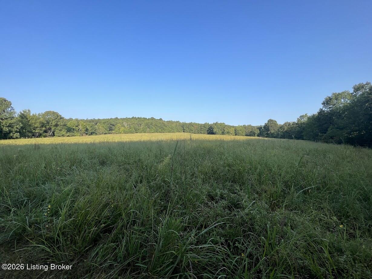 320 Woodland Ave Property Photo 5