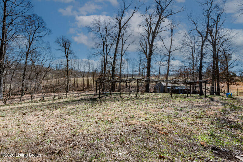 2629 Springfield Rd Property Photo 21