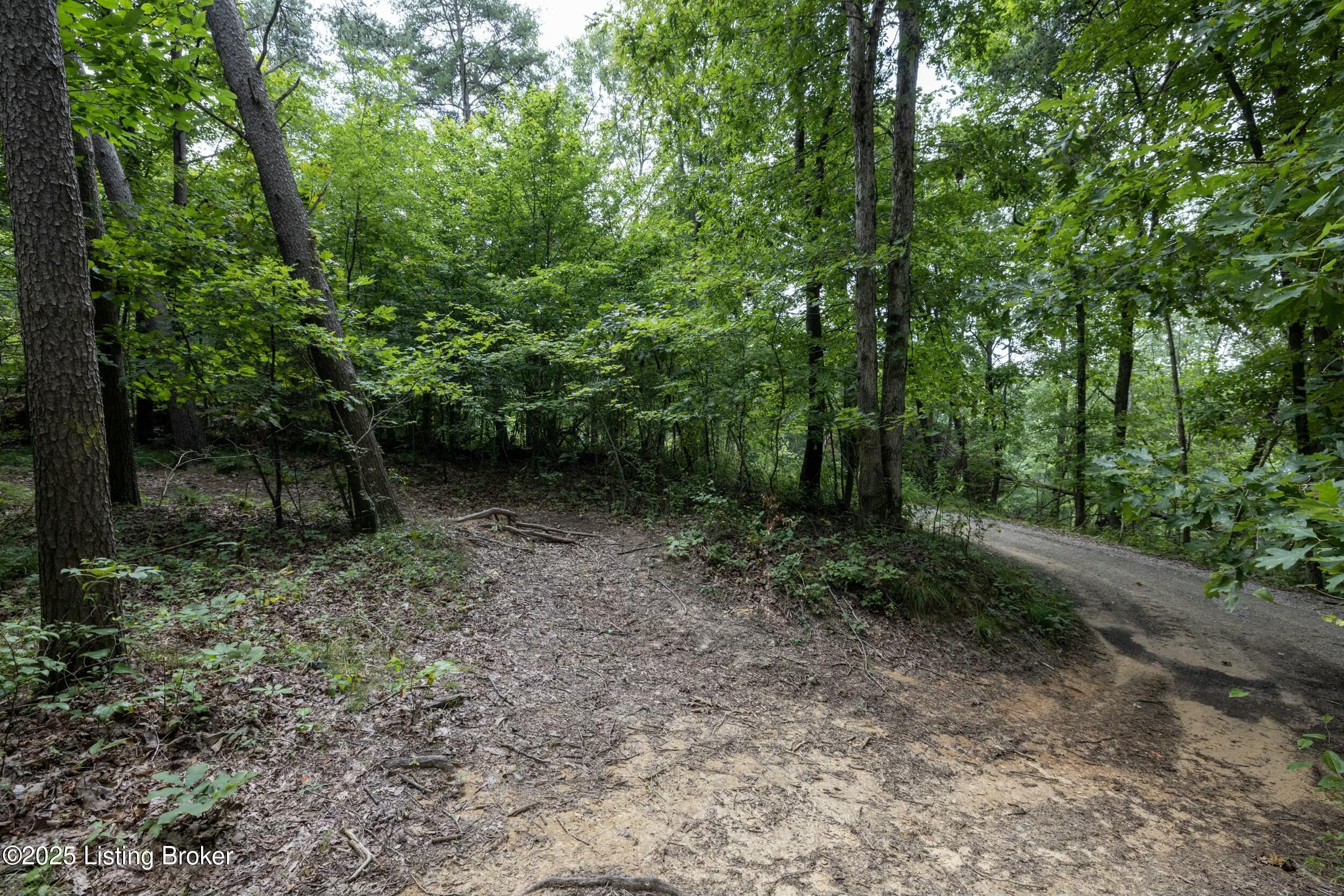 7 Vanmeter Cemetery Rd Property Photo 8