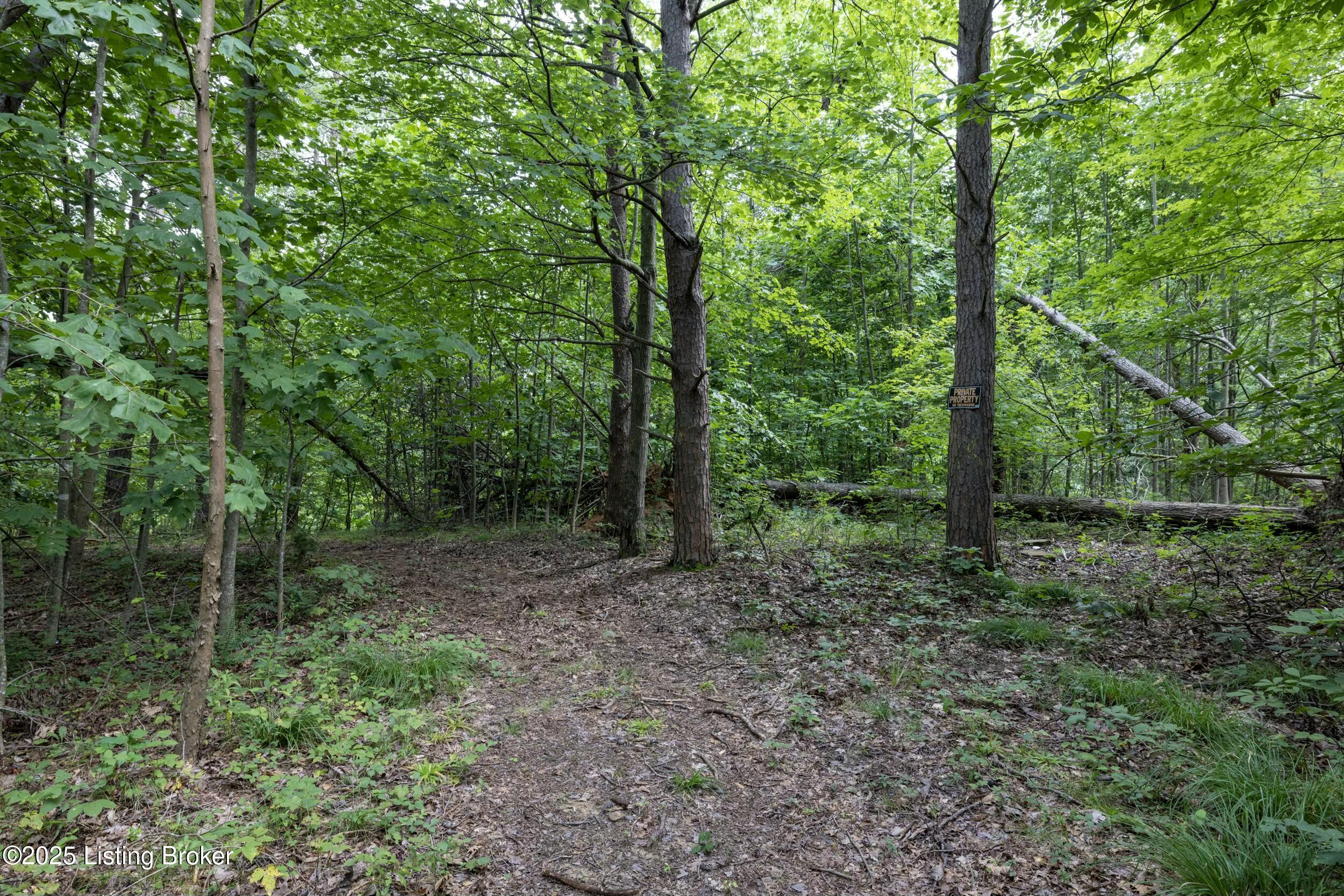 7 Vanmeter Cemetery Rd Property Photo 26