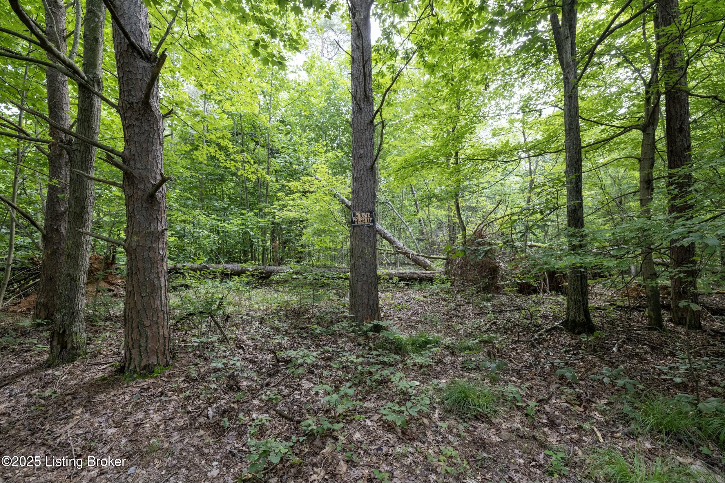 7 Vanmeter Cemetery Rd Property Photo 27