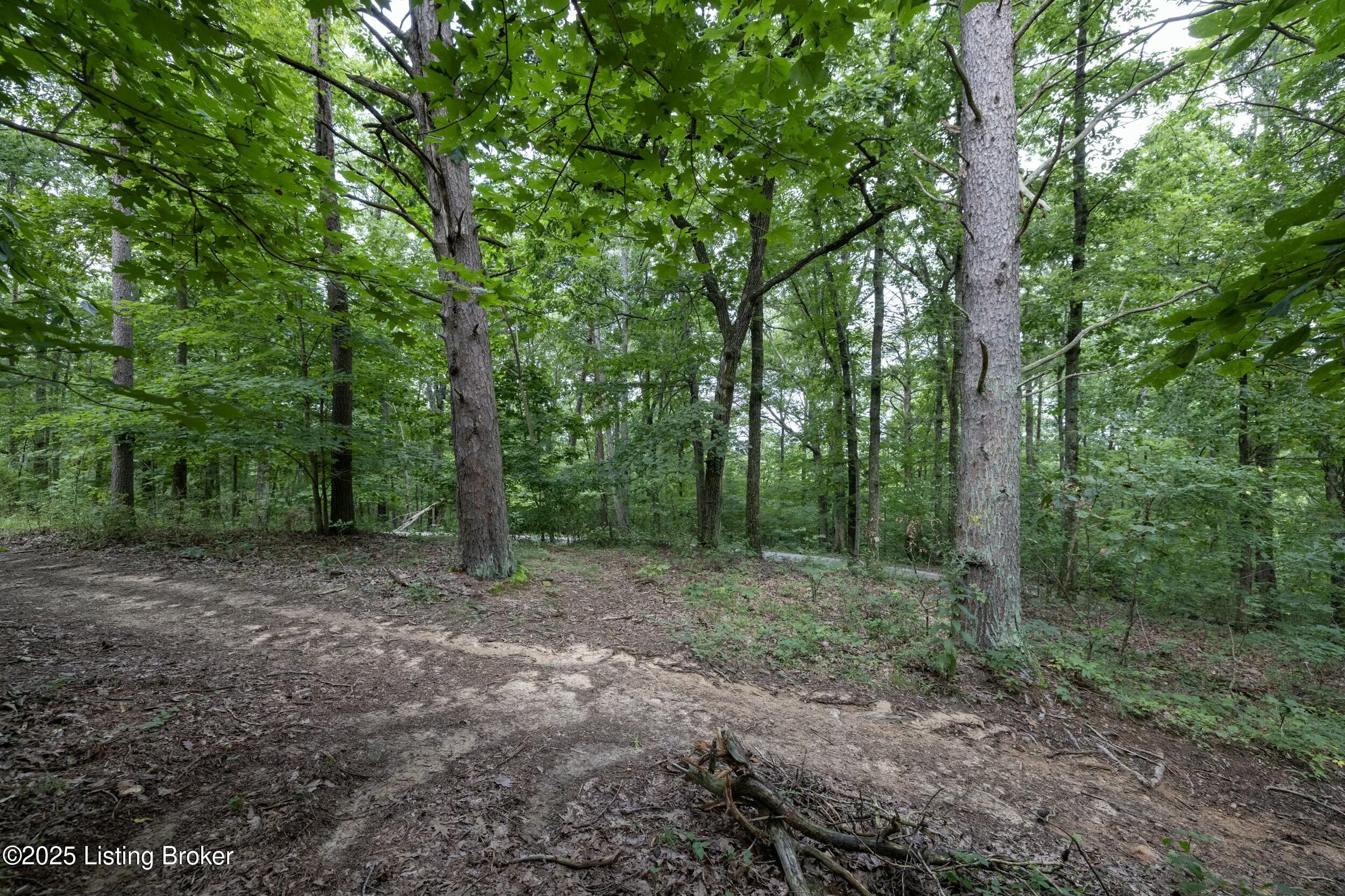 7 Vanmeter Cemetery Rd Property Photo 30
