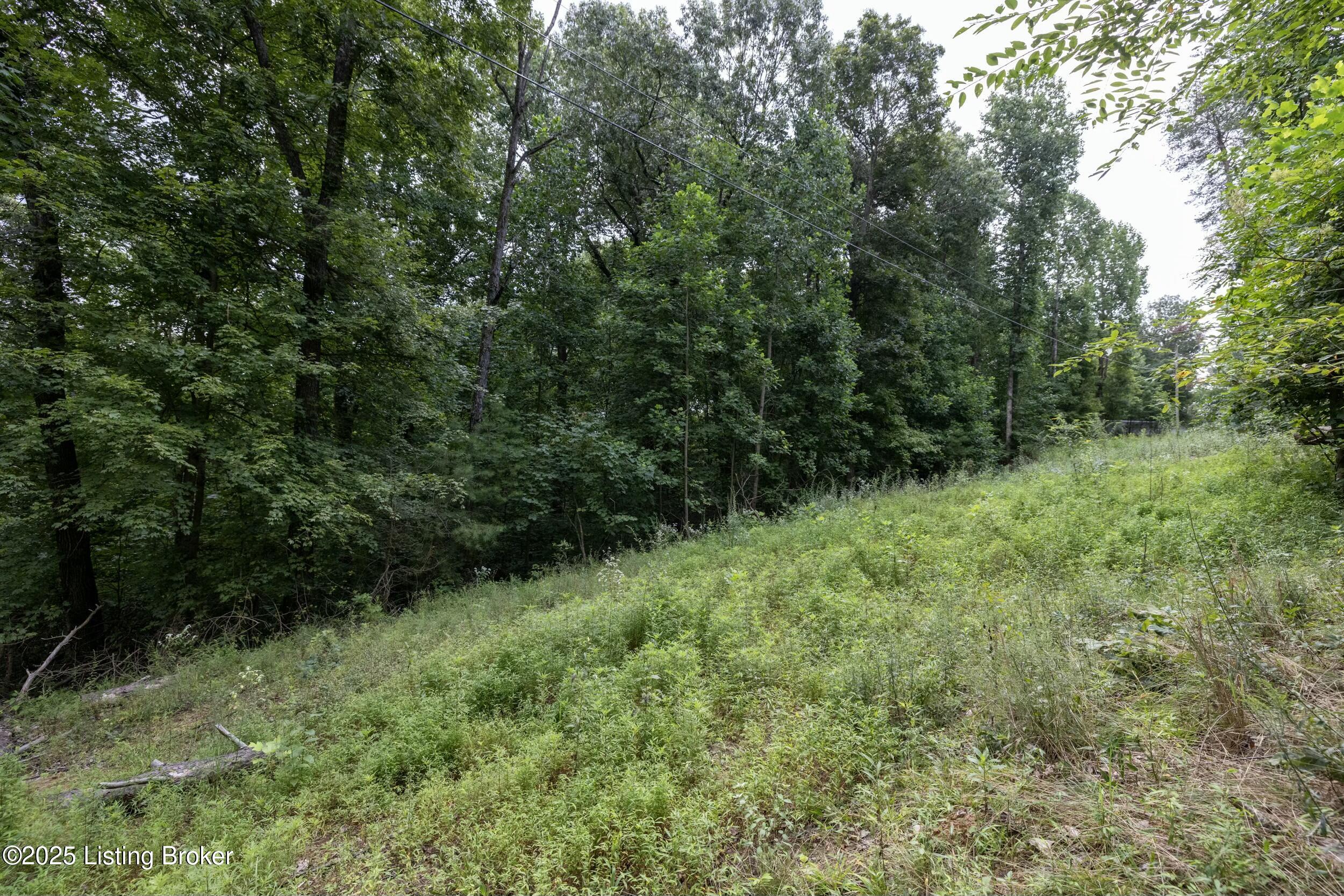 7 Vanmeter Cemetery Rd Property Photo 32