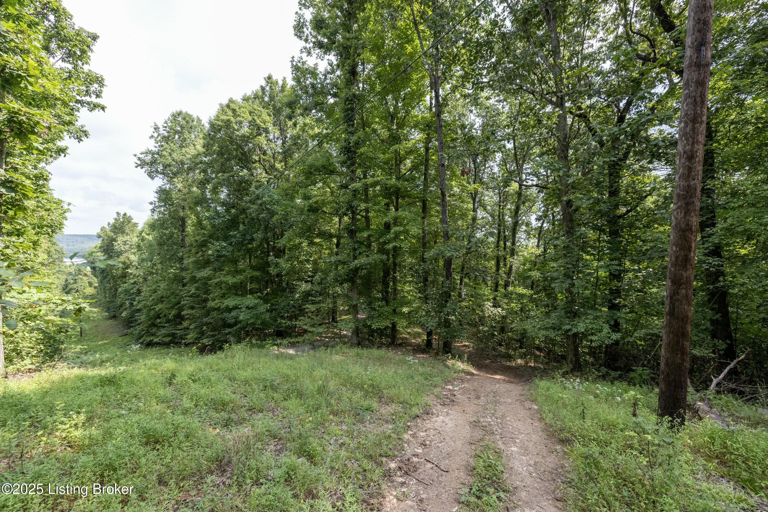 7 Vanmeter Cemetery Rd Property Photo 33