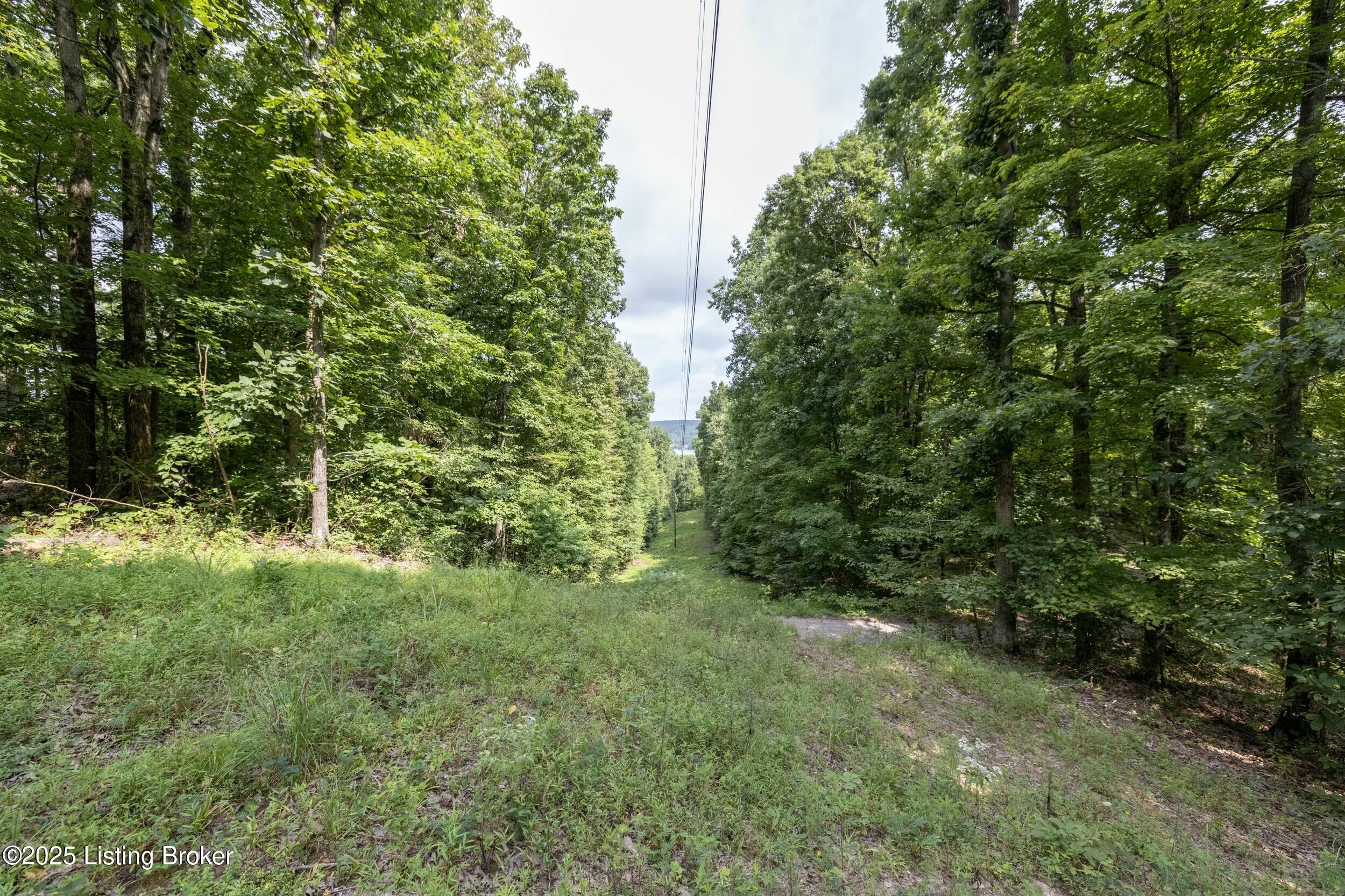 7 Vanmeter Cemetery Rd Property Photo 34