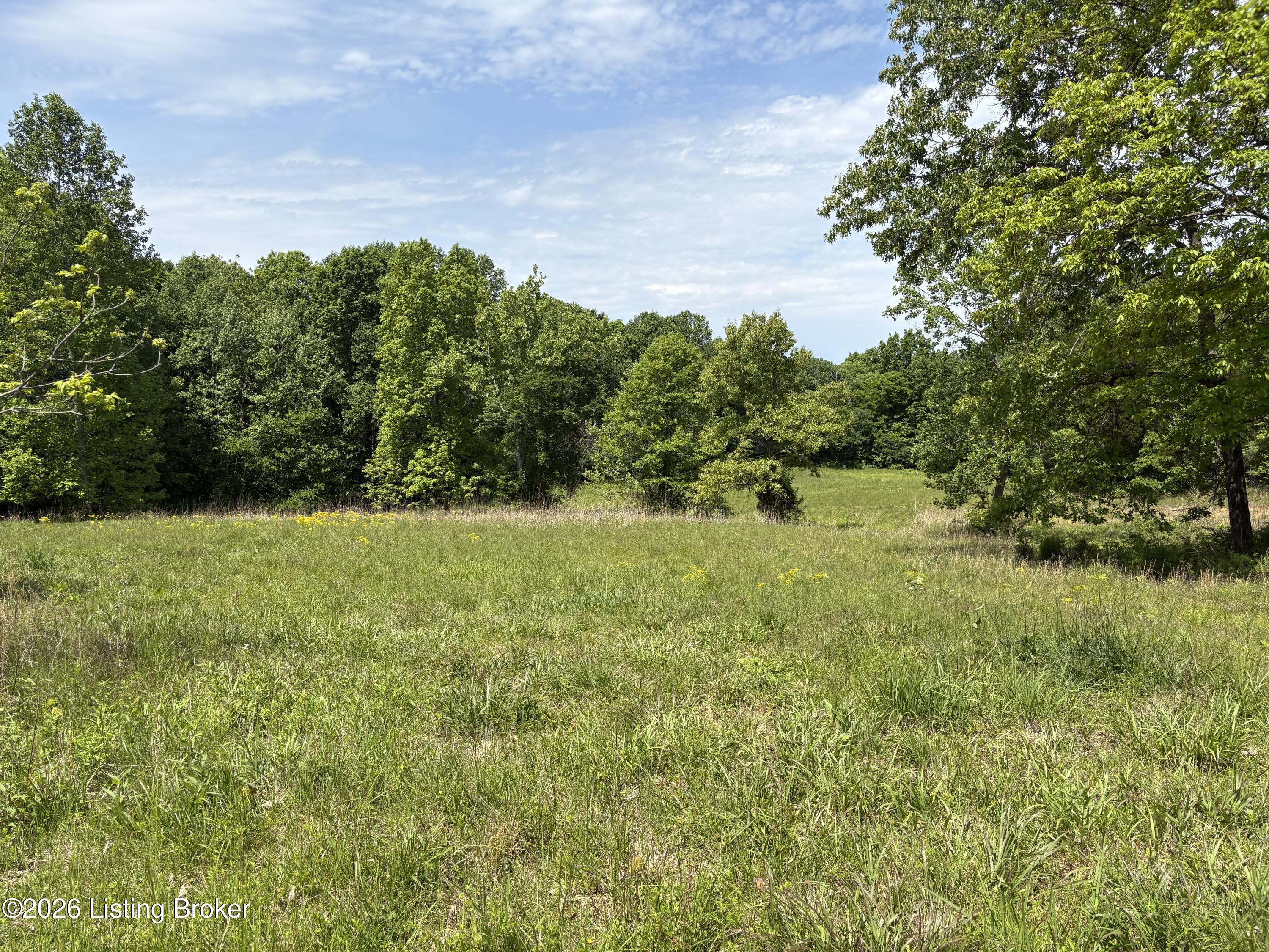 1012 Hardin Mill Mattingly Rd Property Photo 32