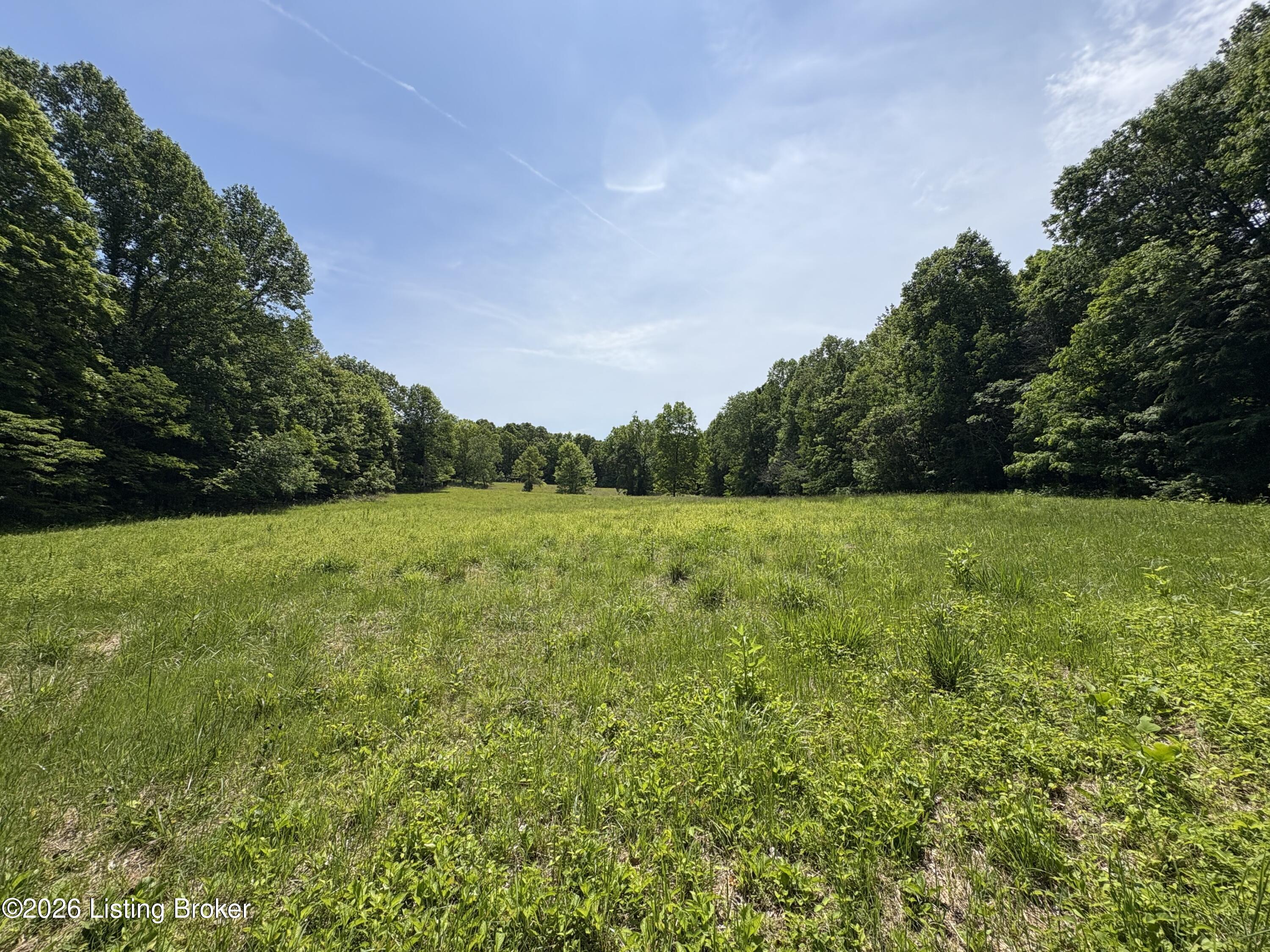 1012 Hardin Mill Mattingly Rd Property Photo 33