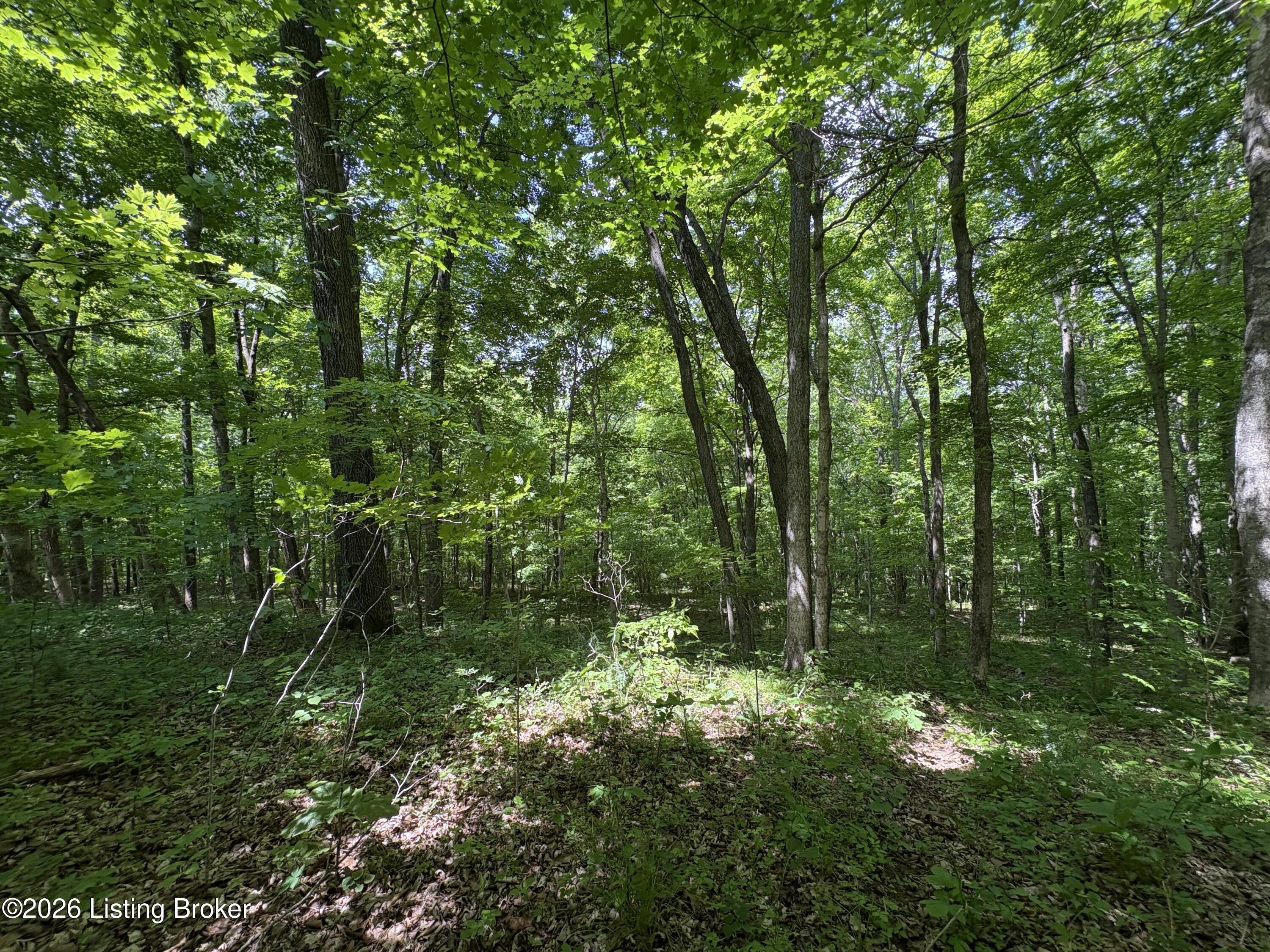 1012 Hardin Mill Mattingly Rd Property Photo 34