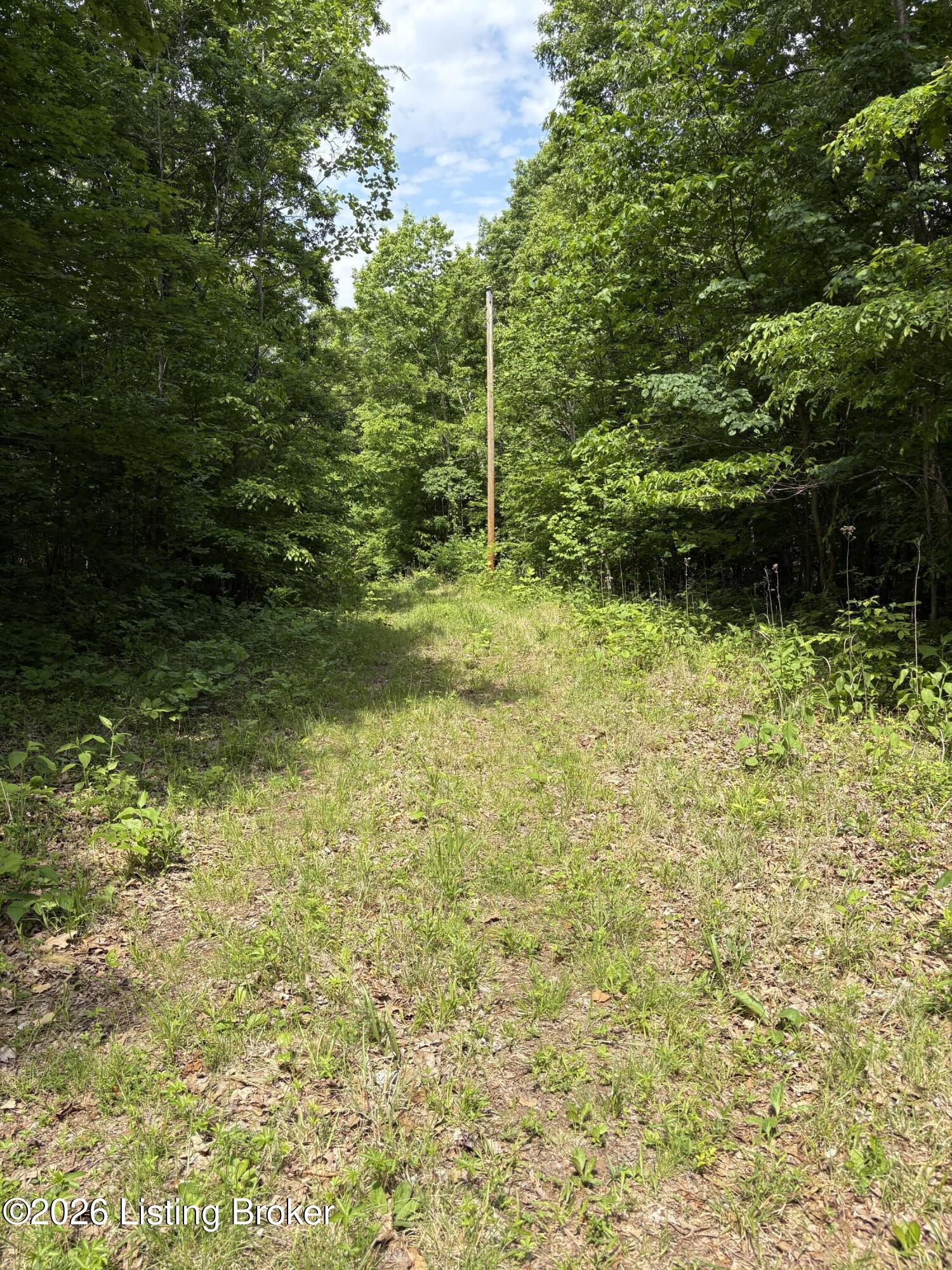 1012 Hardin Mill Mattingly Rd Property Photo 36