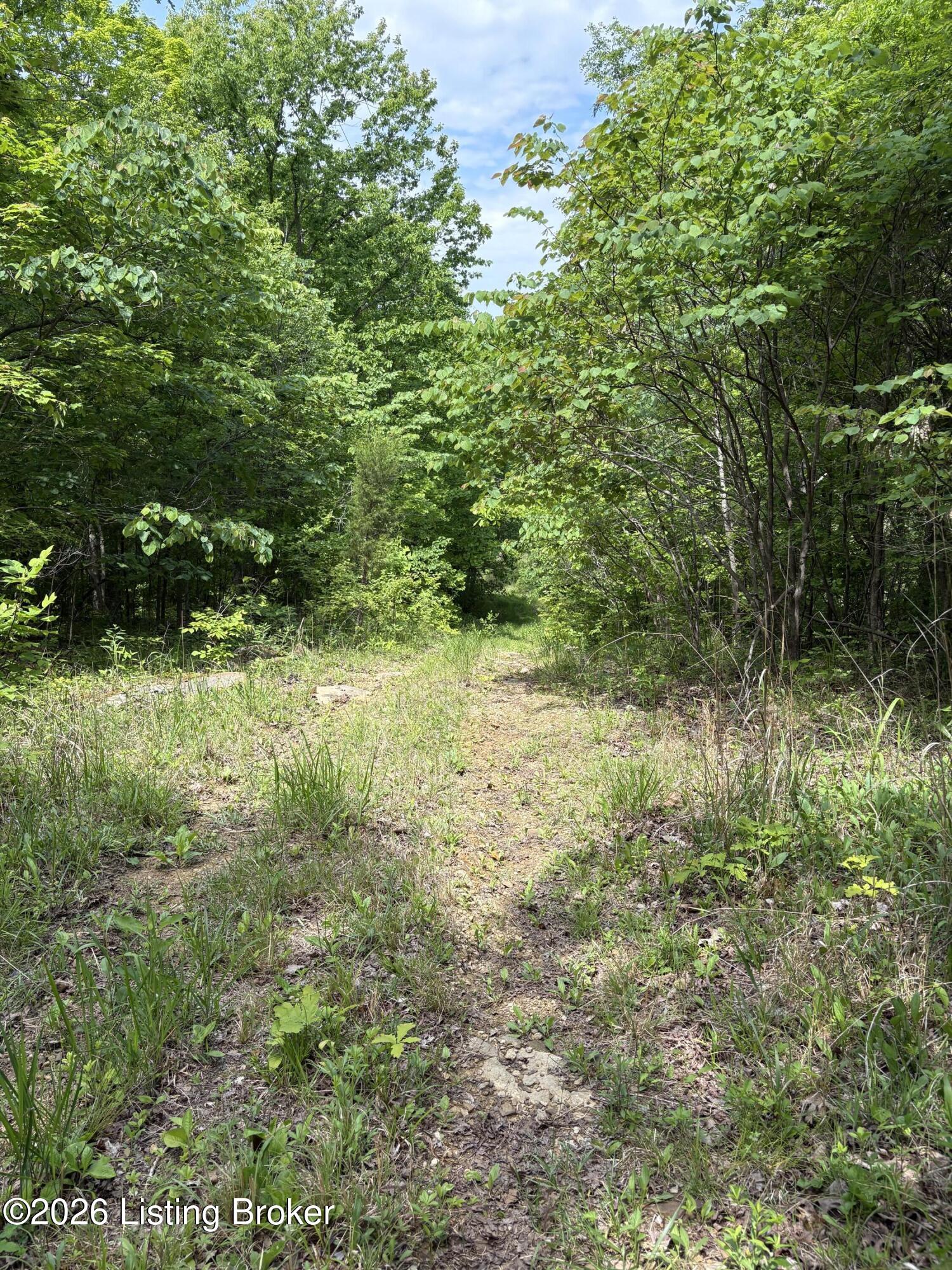 1012 Hardin Mill Mattingly Rd Property Photo 37