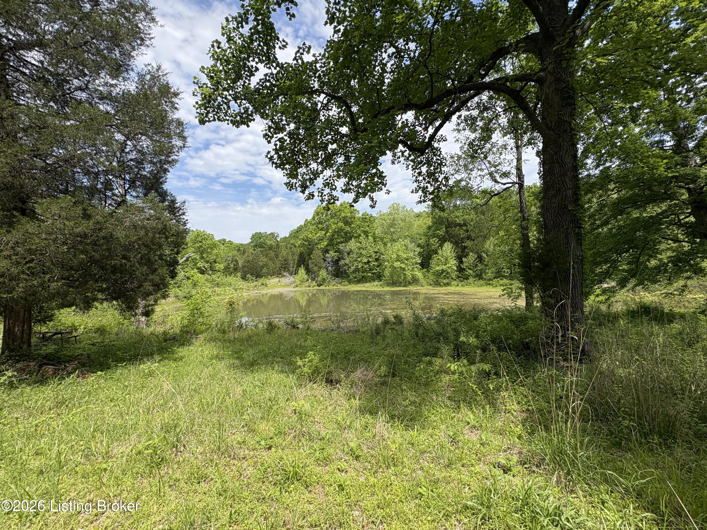 1012 Hardin Mill Mattingly Rd Property Photo 38