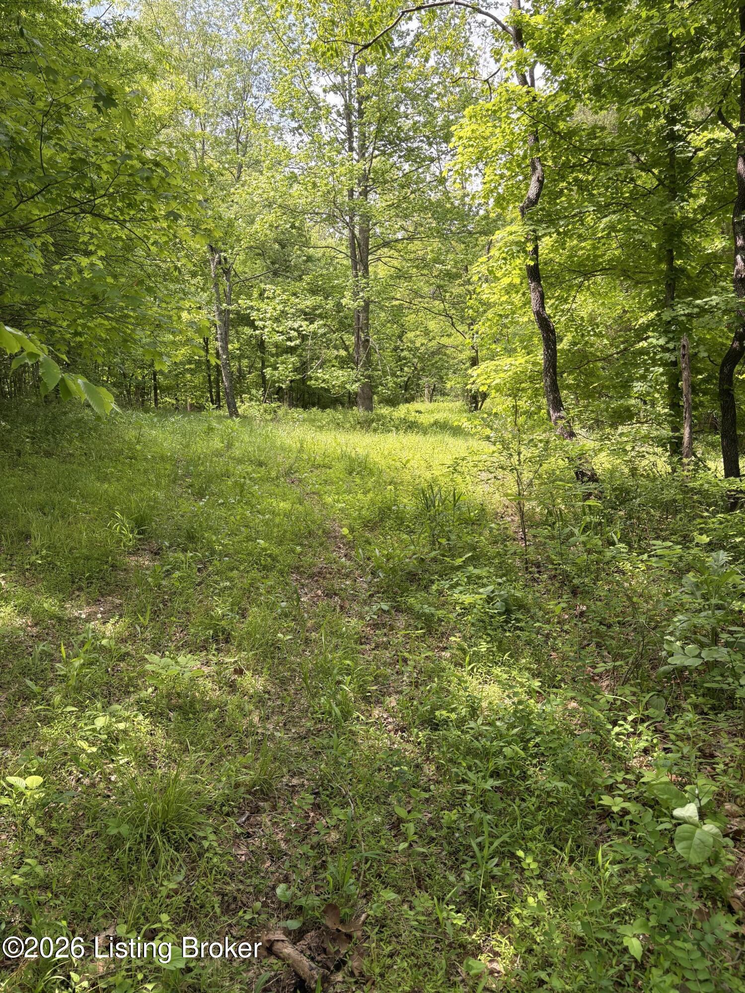 1012 Hardin Mill Mattingly Rd Property Photo 40