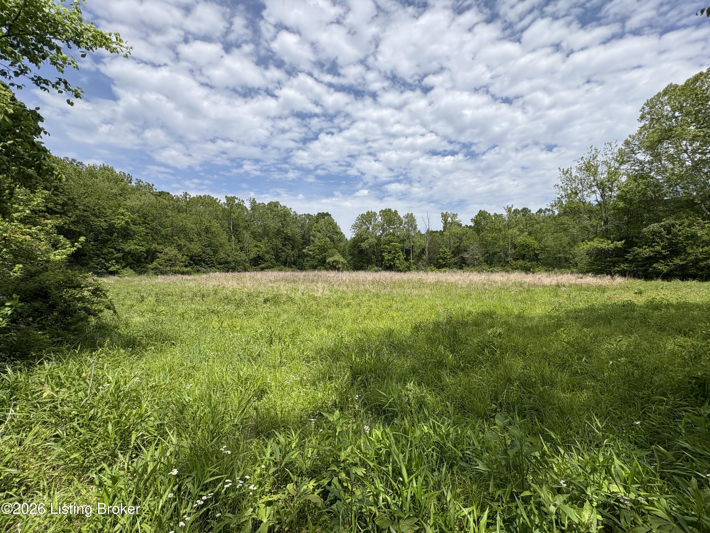 1012 Hardin Mill Mattingly Rd Property Photo 42