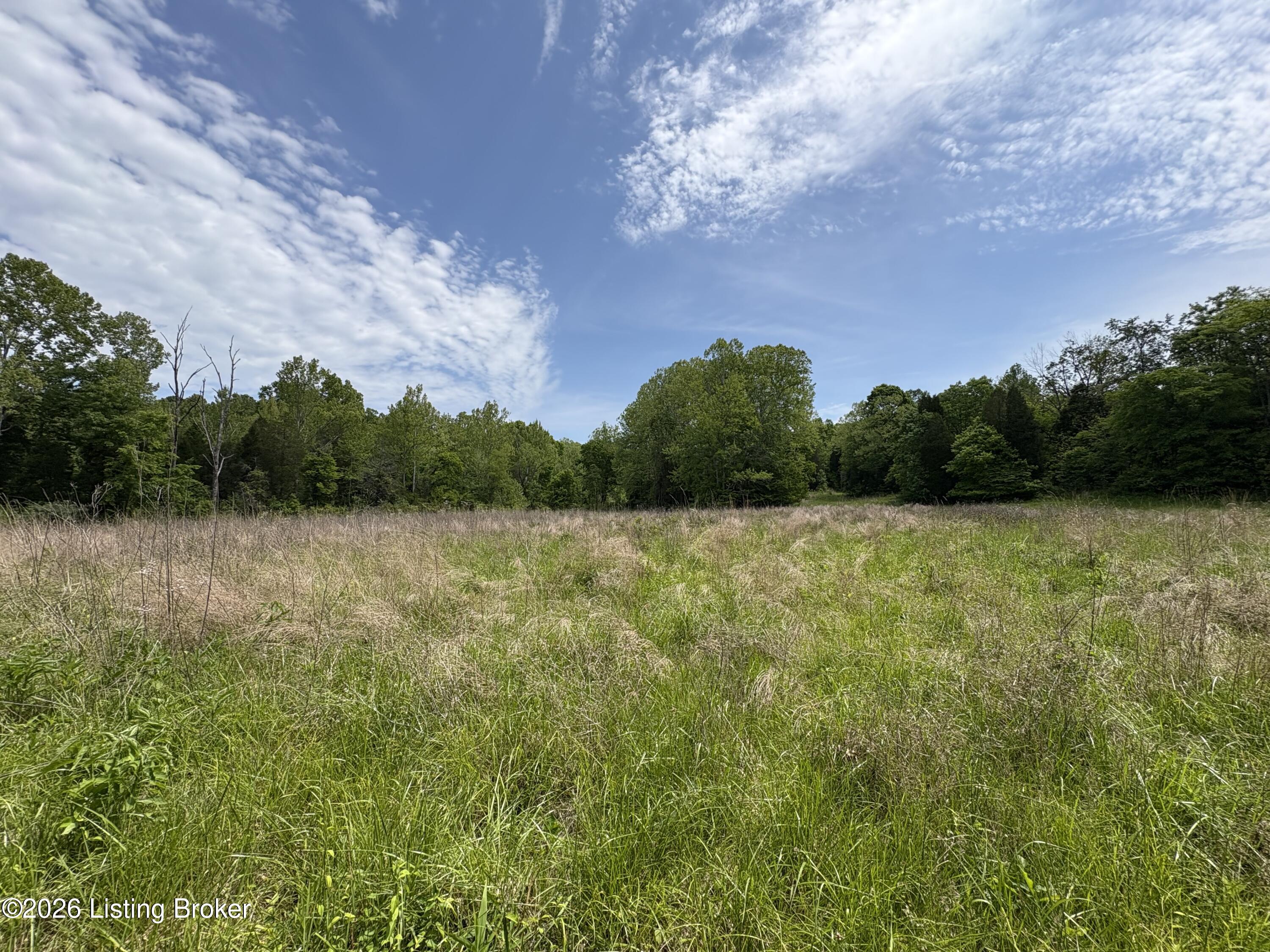 1012 Hardin Mill Mattingly Rd Property Photo 43