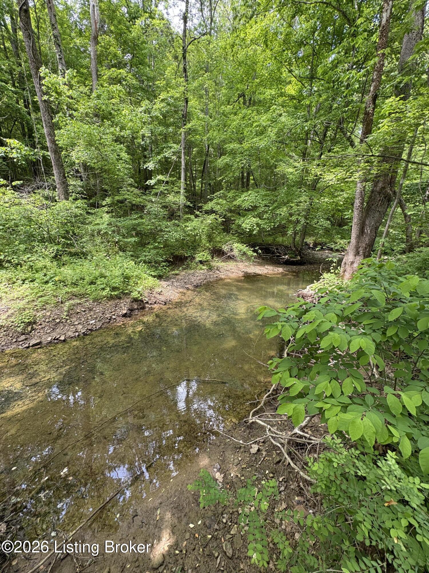 1012 Hardin Mill Mattingly Rd Property Photo 46