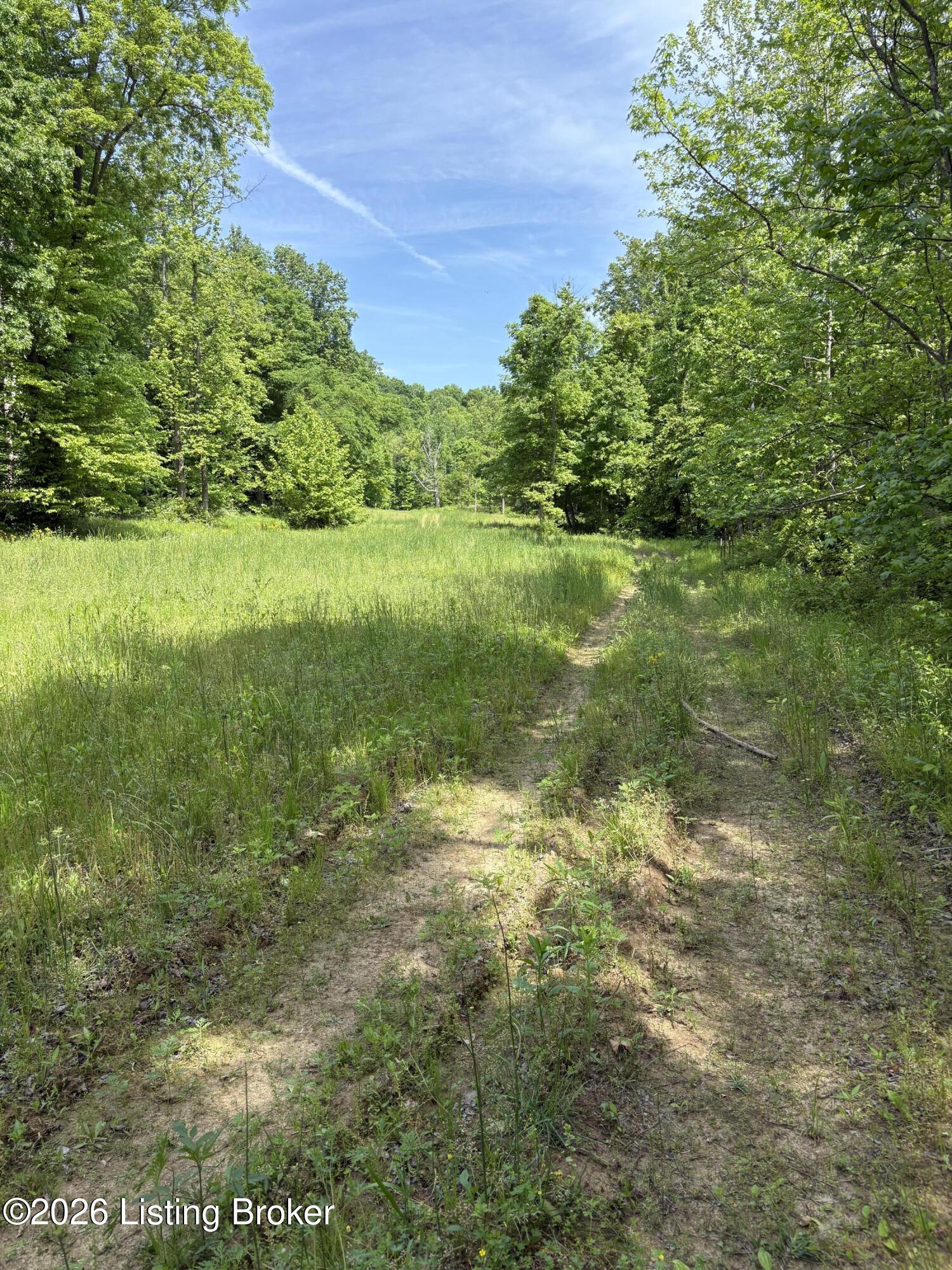 1012 Hardin Mill Mattingly Rd Property Photo 47