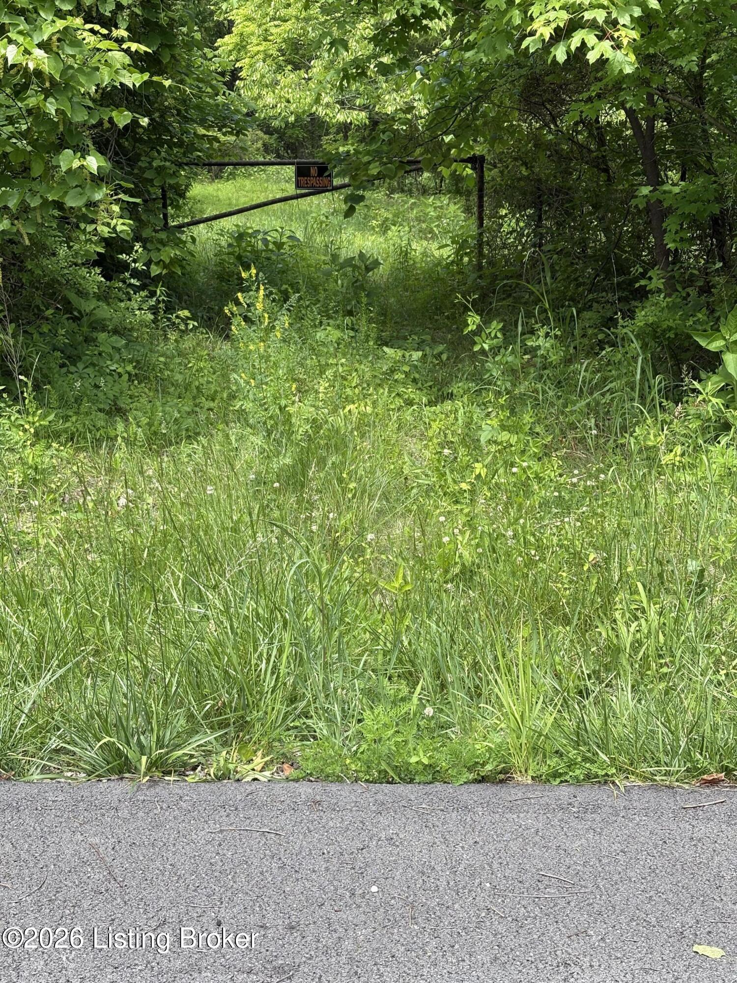 1012 Hardin Mill Mattingly Rd Property Photo 50