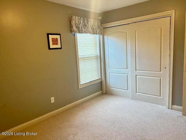 5103 Amber Hill Pl Property Photo 18