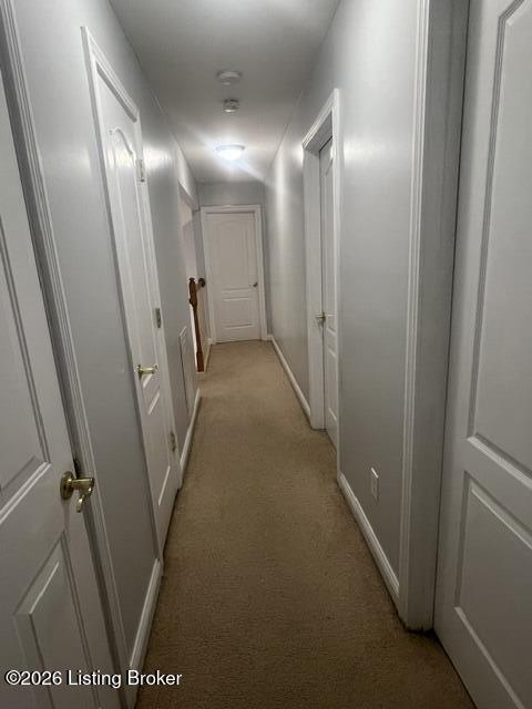 5103 Amber Hill Pl Property Photo 21