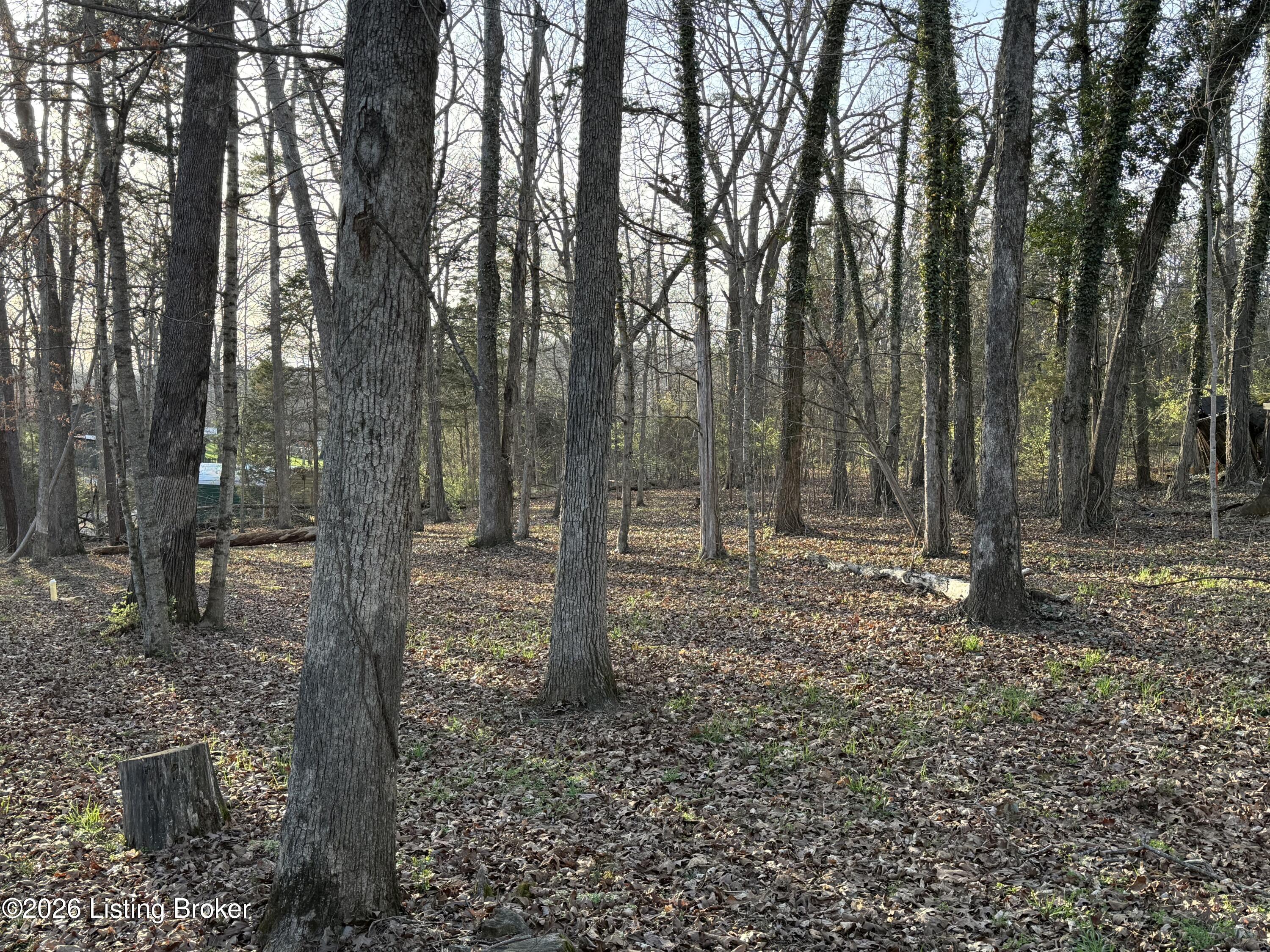 284 Pine Creek Rd Property Photo 12