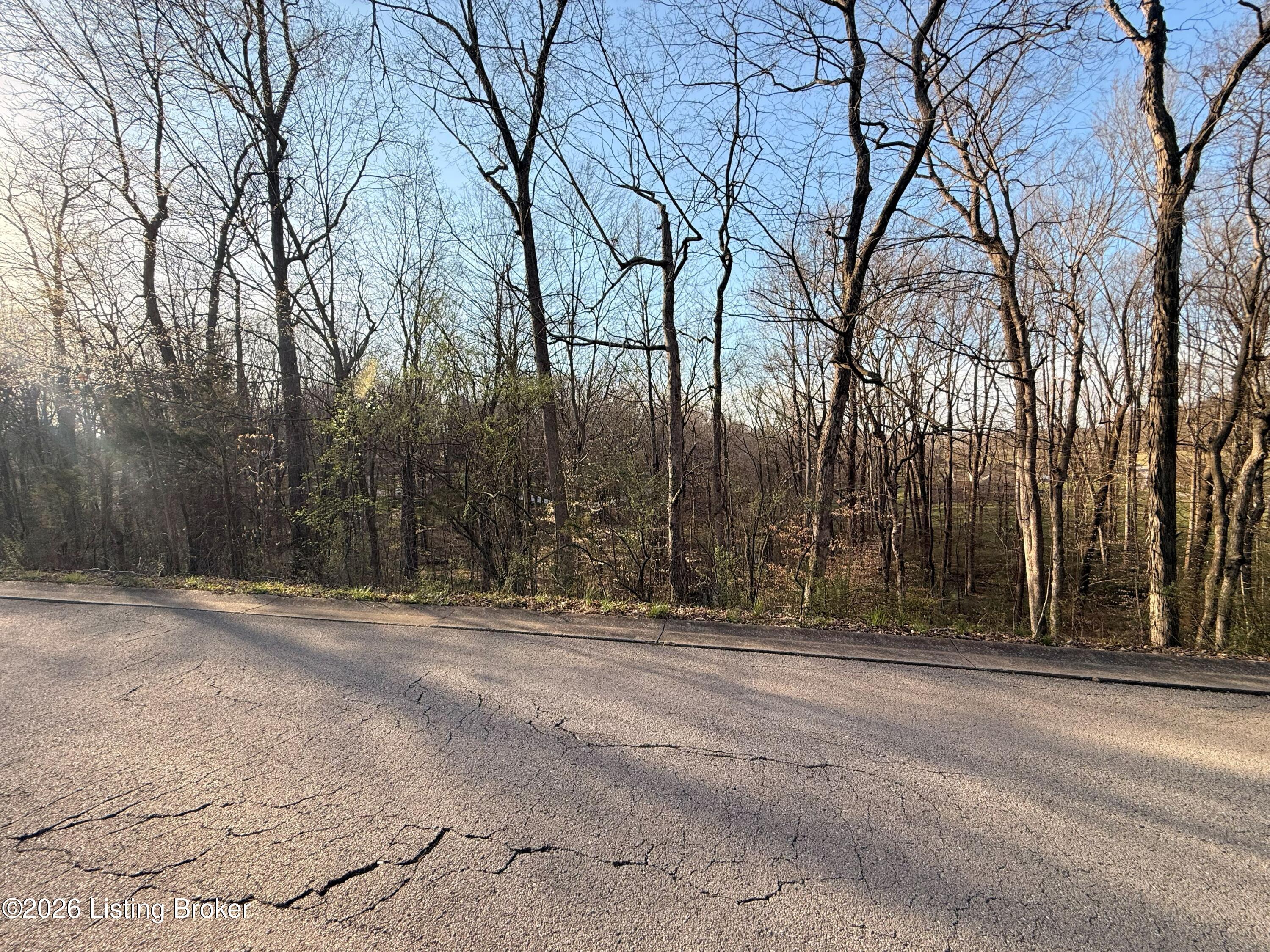 Lot 6 Tanglewood Dr Property Photo 1