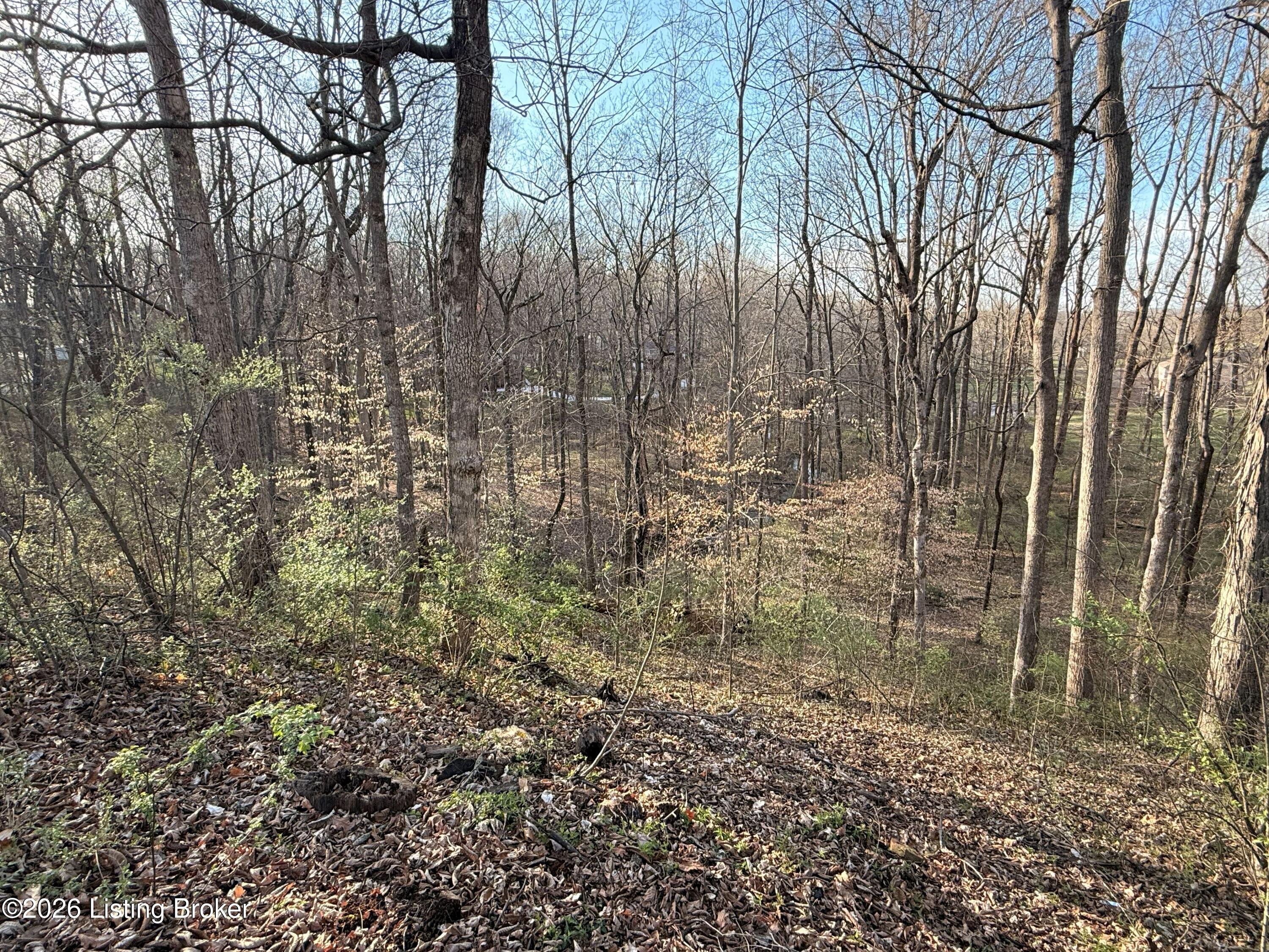 Lot 6 Tanglewood Dr Property Photo 2