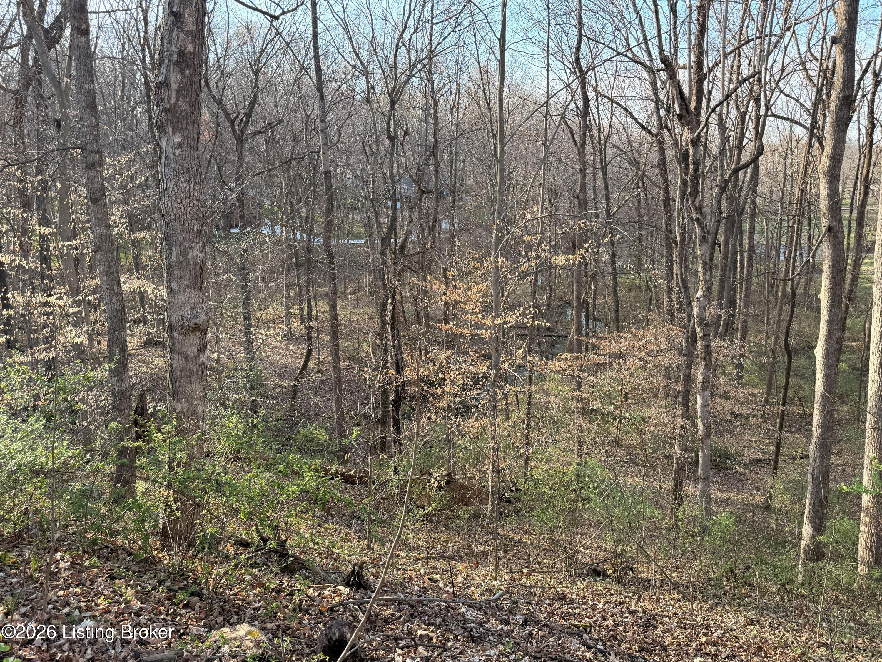 Lot 6 Tanglewood Dr Property Photo 3