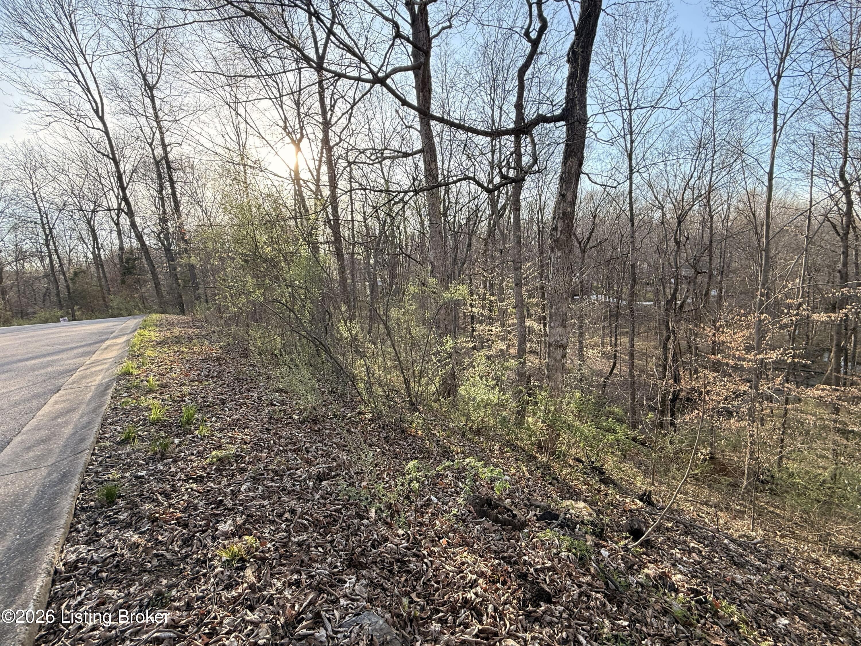 Lot 6 Tanglewood Dr Property Photo 4