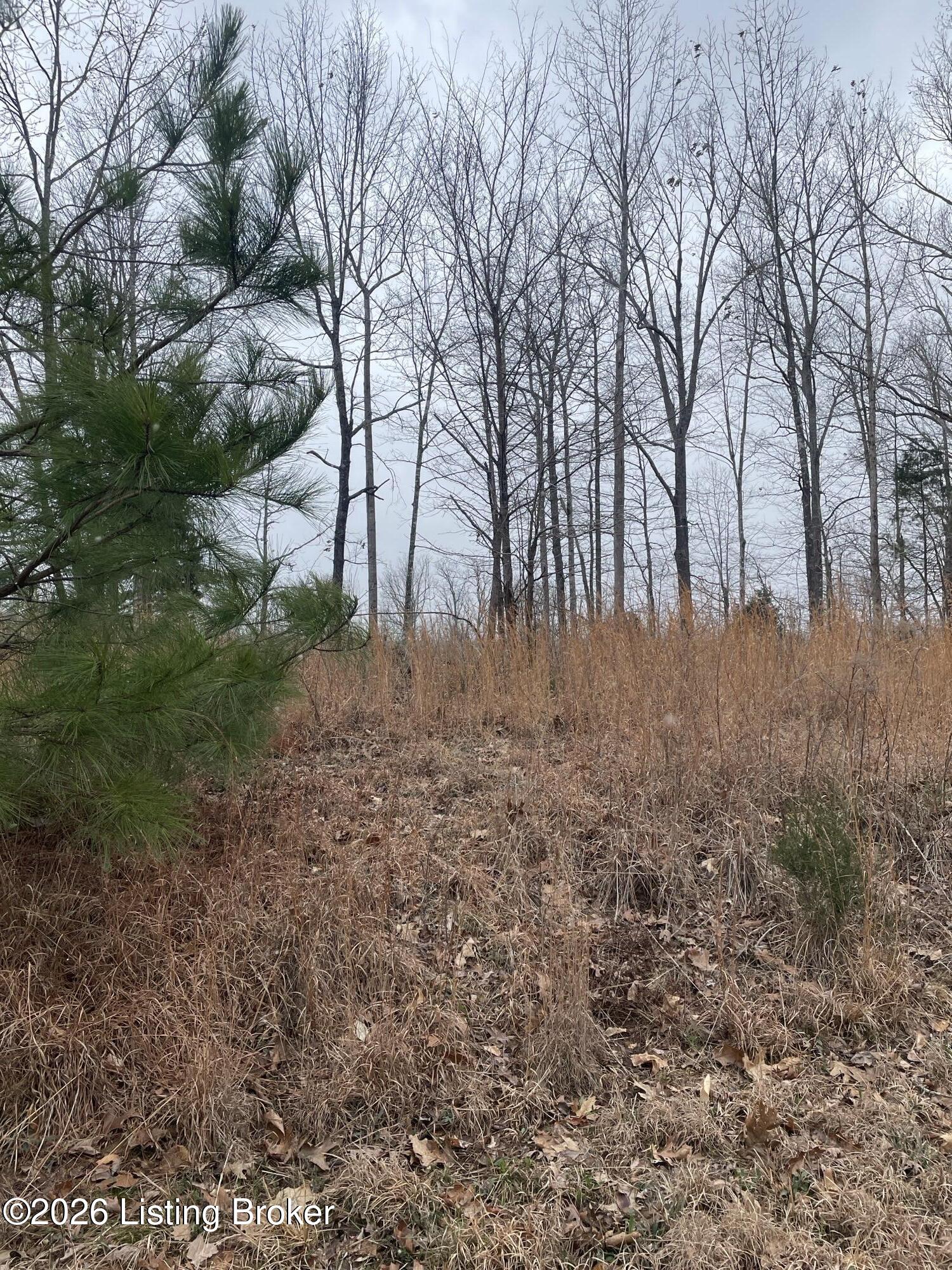 0 Sylvan Circle Property Photo 3