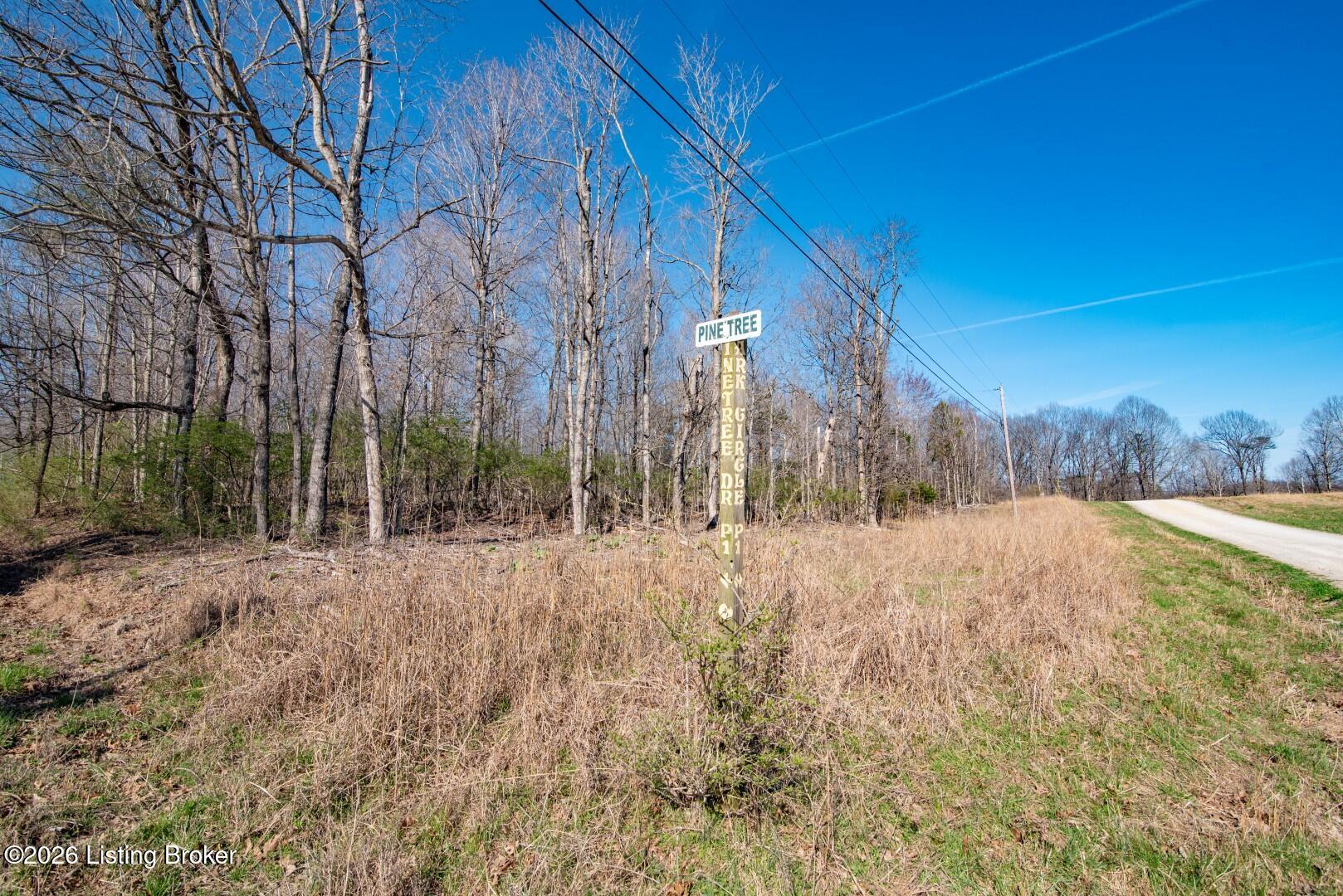 Lot 142 Pine Tree Dr Property Photo 11