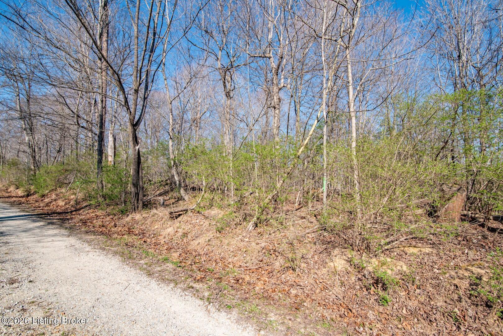 Lot 142 Pine Tree Dr Property Photo 12