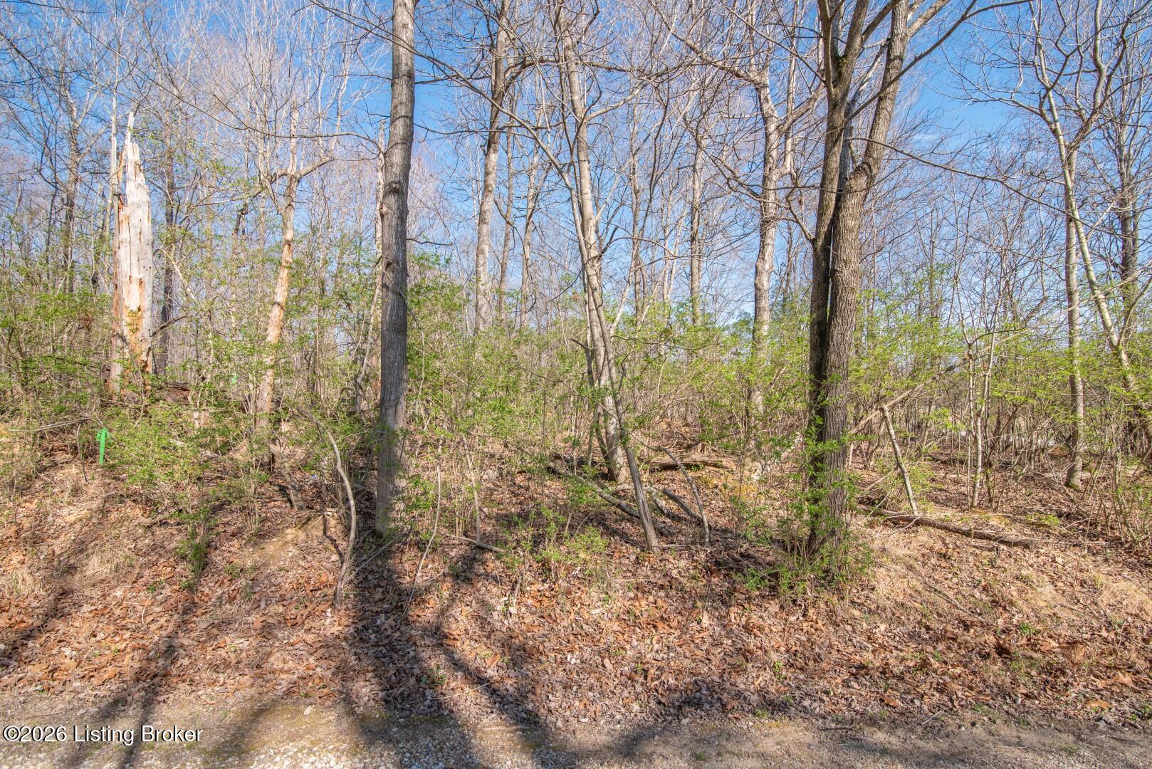 Lot 142 Pine Tree Dr Property Photo 13
