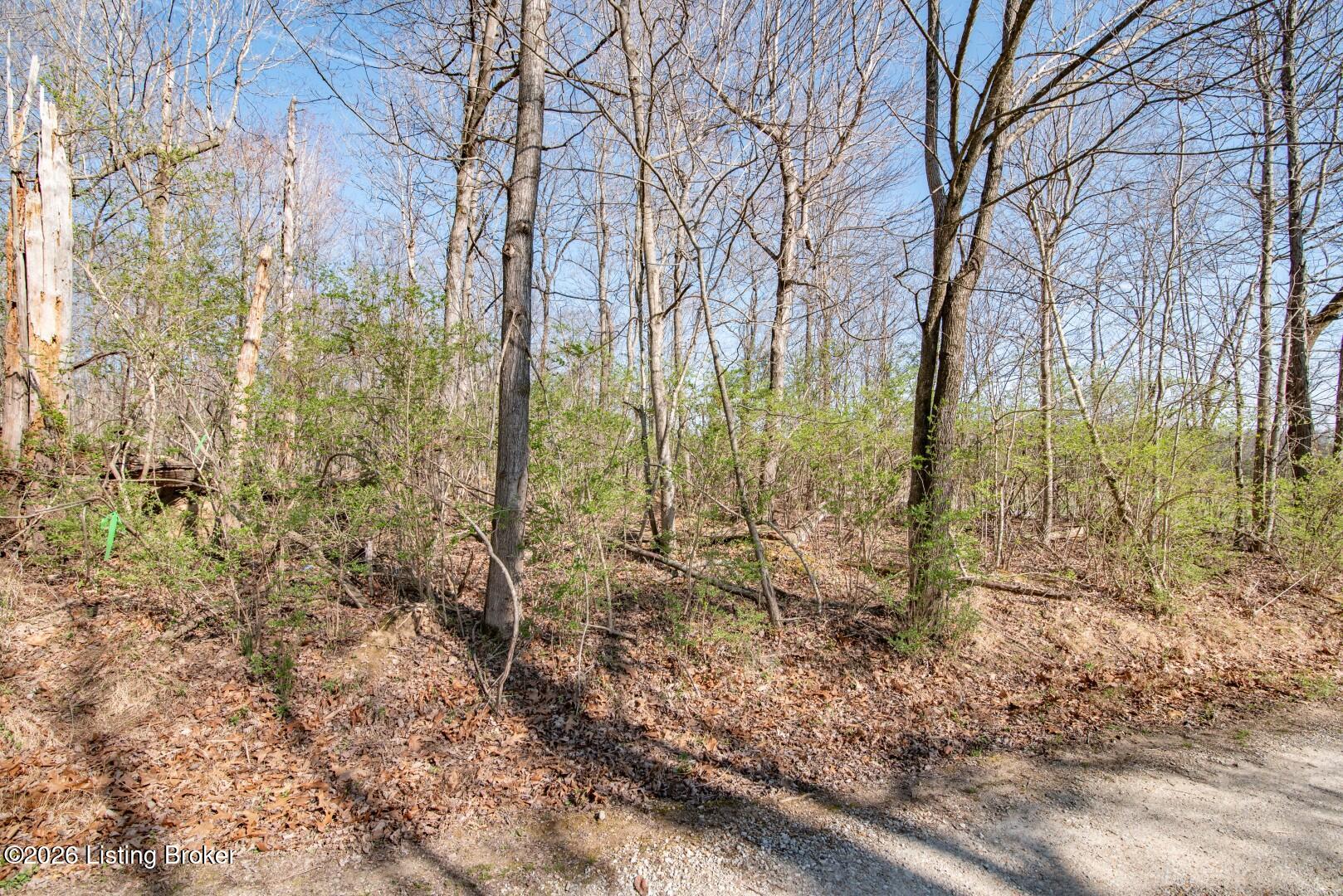 Lot 142 Pine Tree Dr Property Photo 14