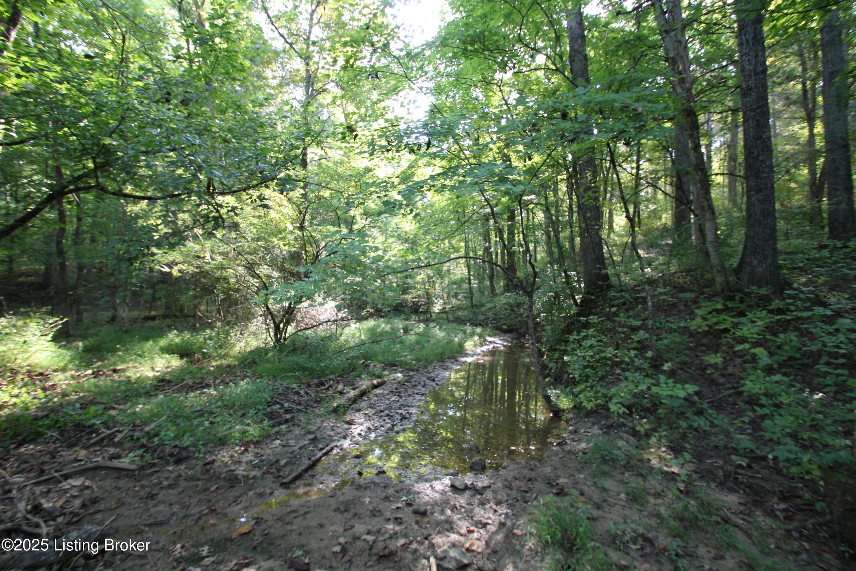 11407 Bardstown Creek Rd Property Photo 1