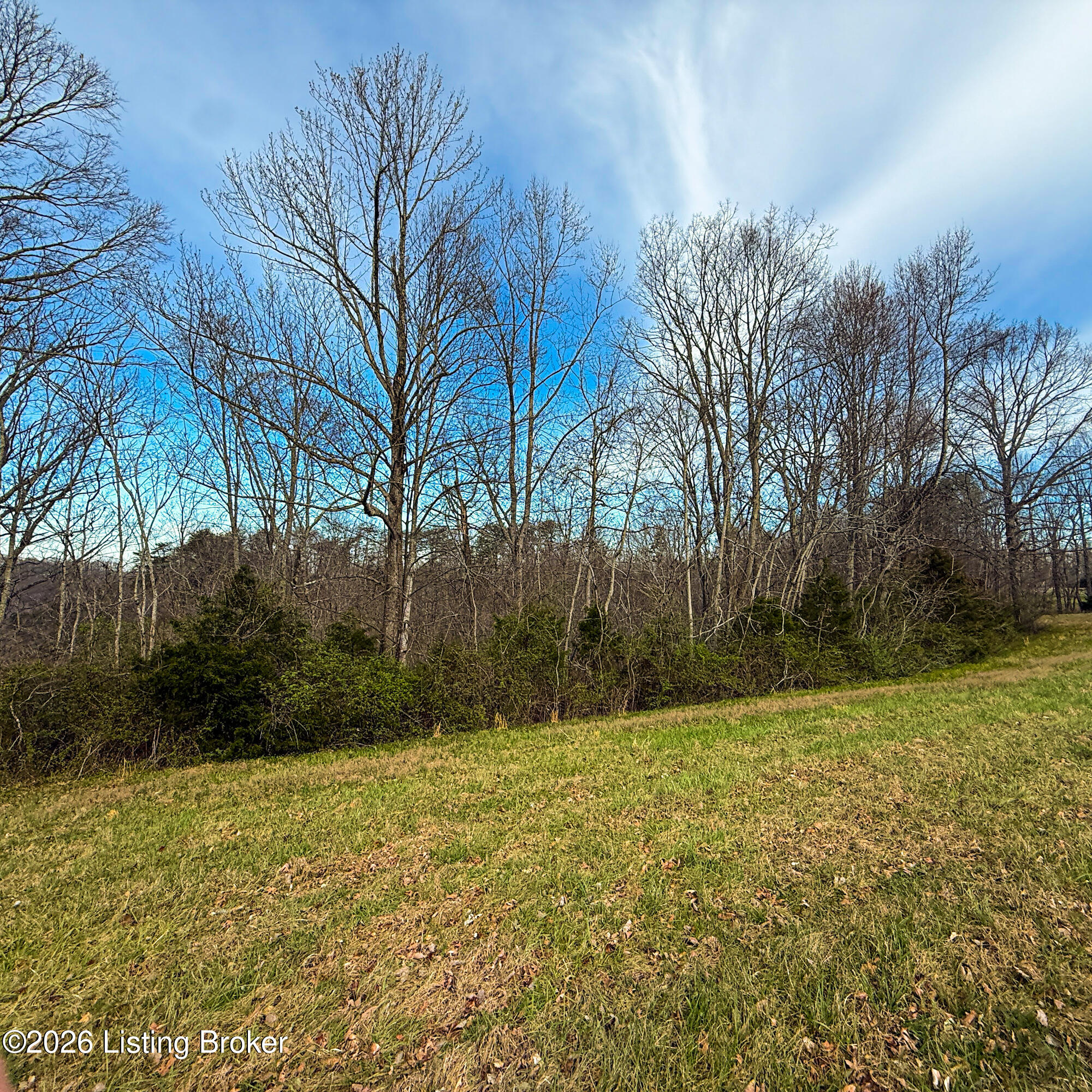 Lot 94 Paradise Ally 94 Property Photo 13
